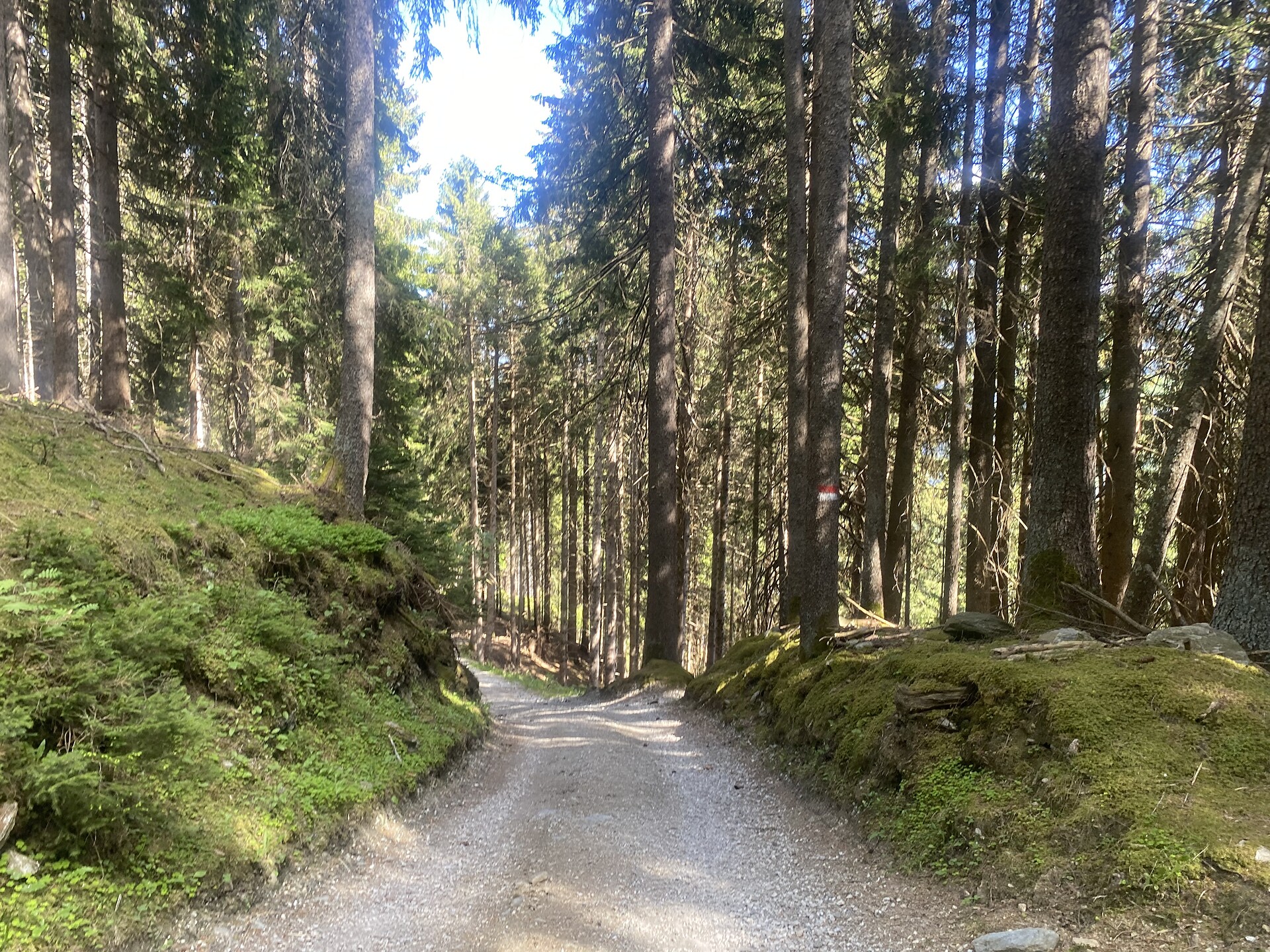 Rundwanderung Telfes - Sterzing und Umgebung - #8 - suedtirol.info