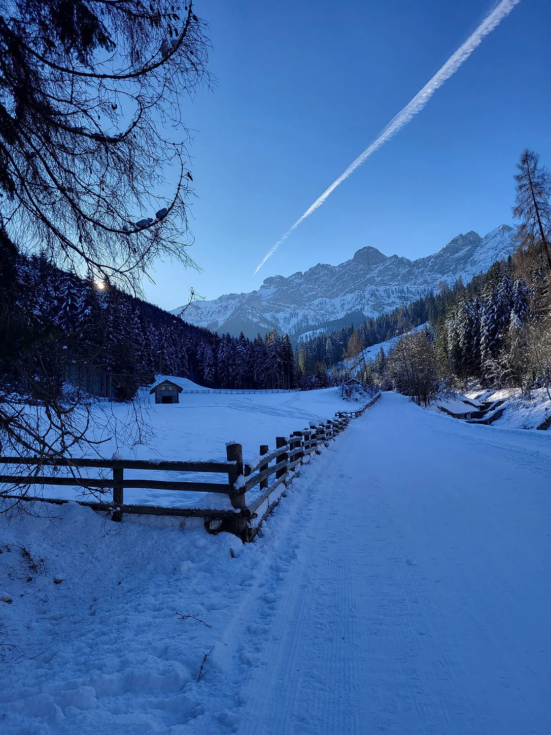 Pista da slittino Brunst