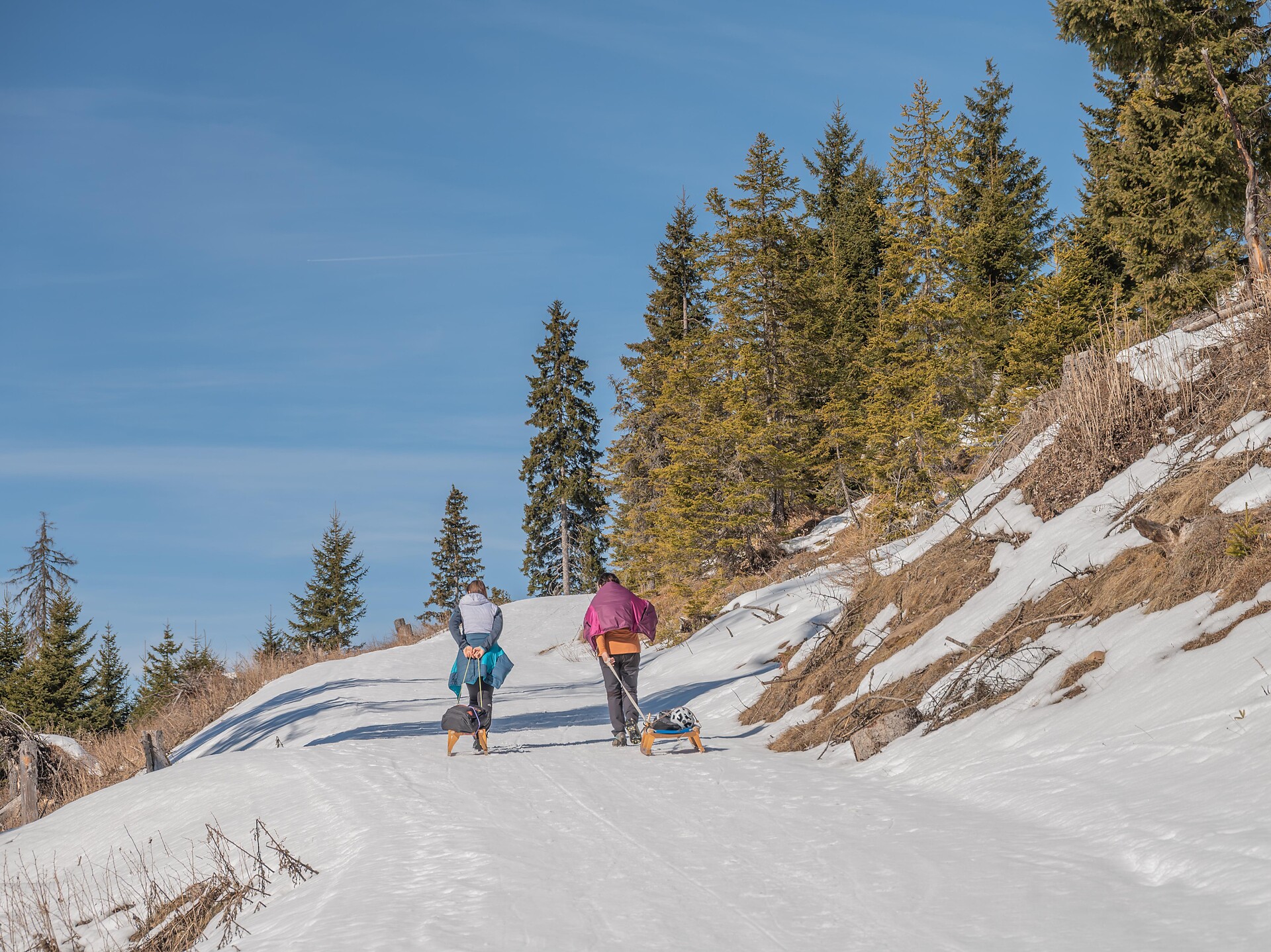 Toboggan run Brunst - Dolomites Region Kronplatz/Plan de Corones - #1 - suedtirol.info
