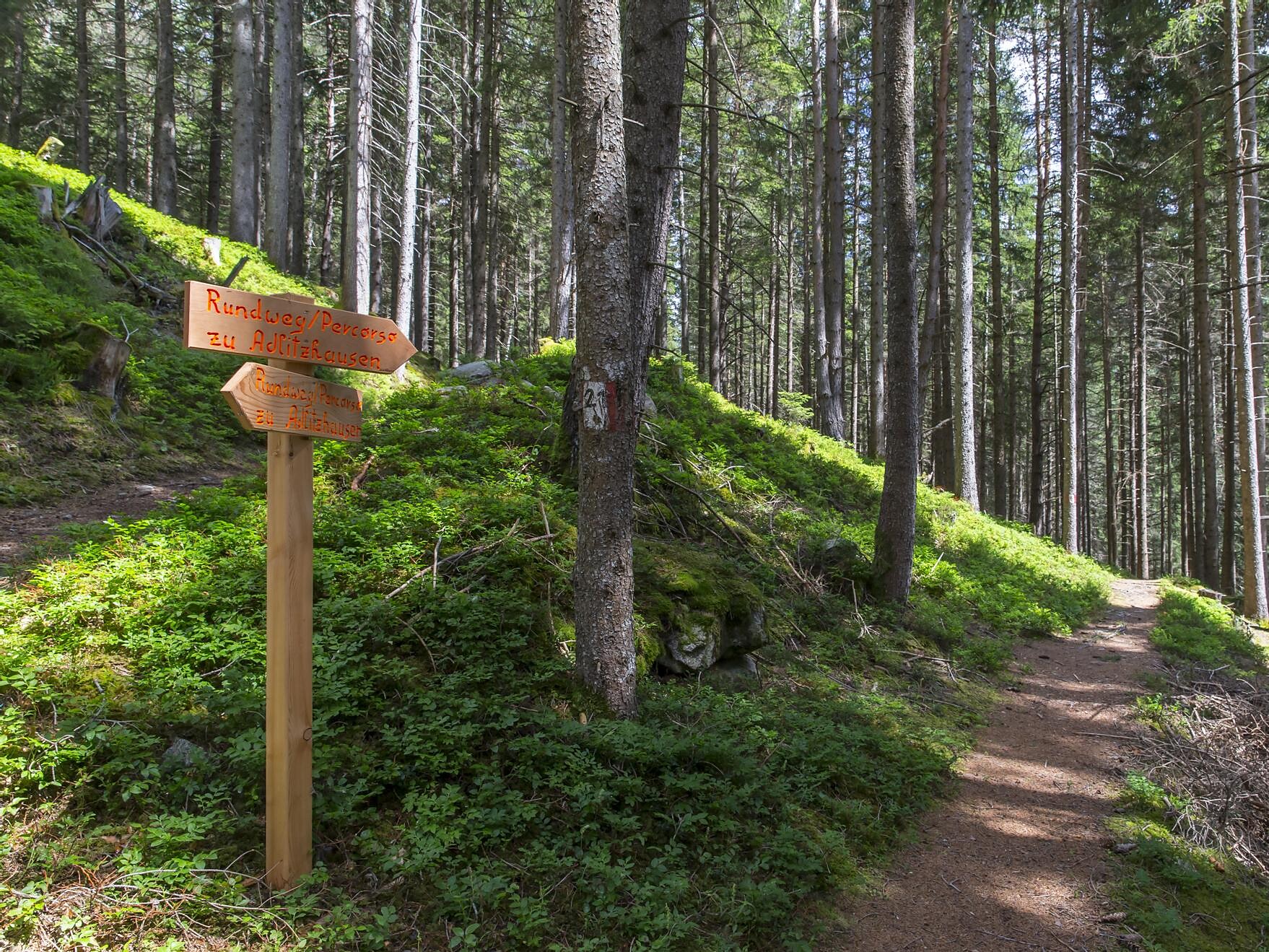 Circular trail „zu Adlitzhausen“