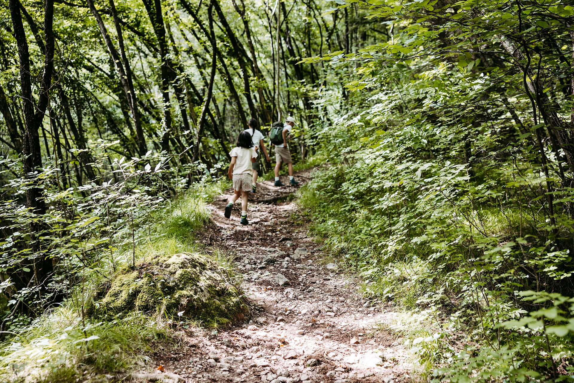 Rundwanderung: Andrian - Festenstein - Gaid - Variante Burgstalleck - Bittnerhof - Andrian - Südtiroler Weinstraße - #3 - suedtirol.info