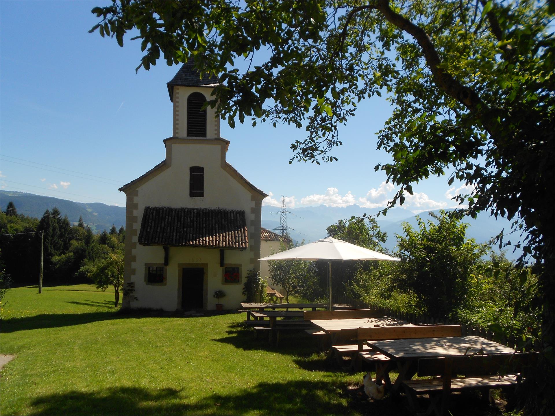 Rundwanderung: Andrian - Festenstein - Gaid - Variante Burgstalleck - Bittner - Andrian Pfitsch 6 suedtirol.info