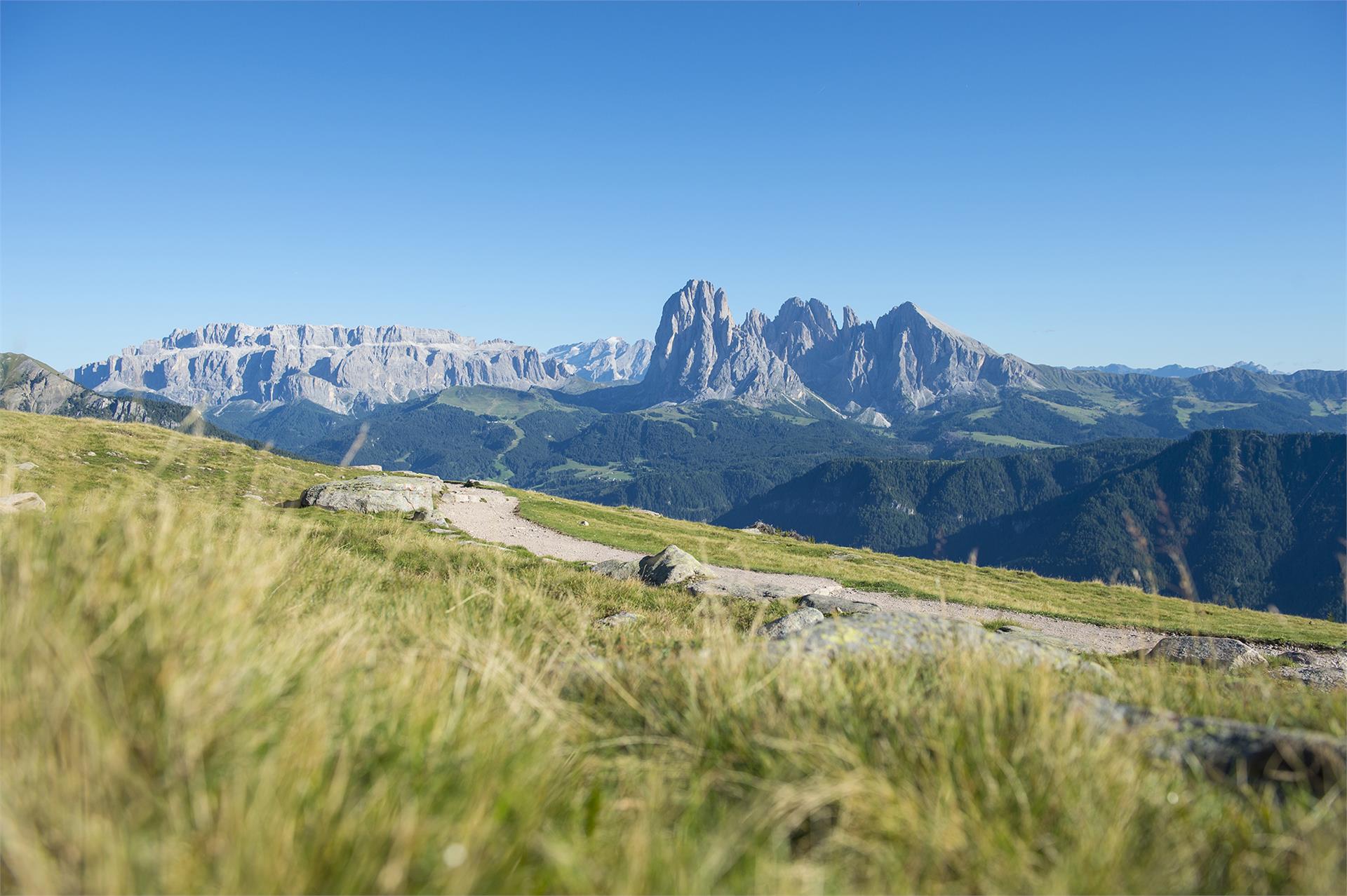 Percorso circolare Rasciesa Laion 1 suedtirol.info