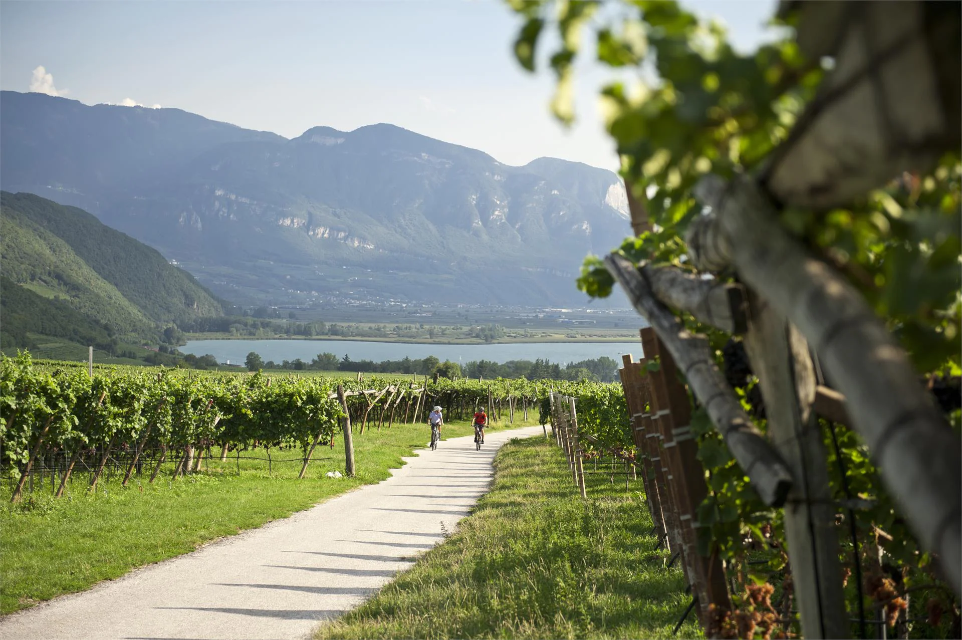 Il giro del Monte di Mezzo Laives 1 suedtirol.info