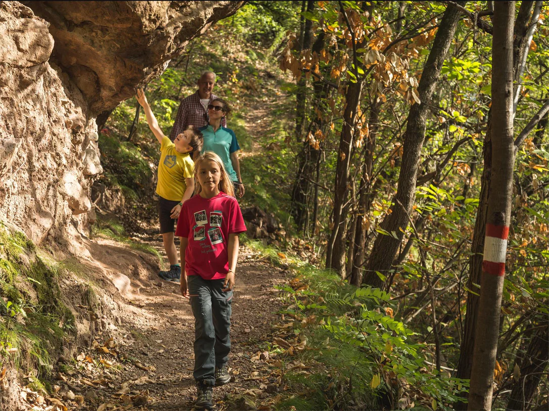 Renon/Ritten: Chestnut Trail Bolzano-Unterinn