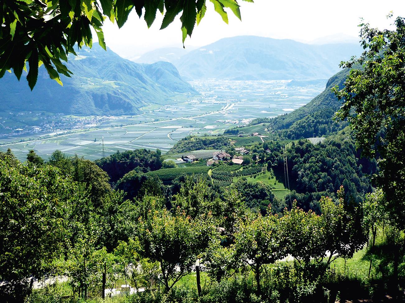 Escursione circolare da Sirmiano di Sotto, Grissiano, Sirmiano di Sopra, Sirmiano di Sotto Nalles 2 suedtirol.info