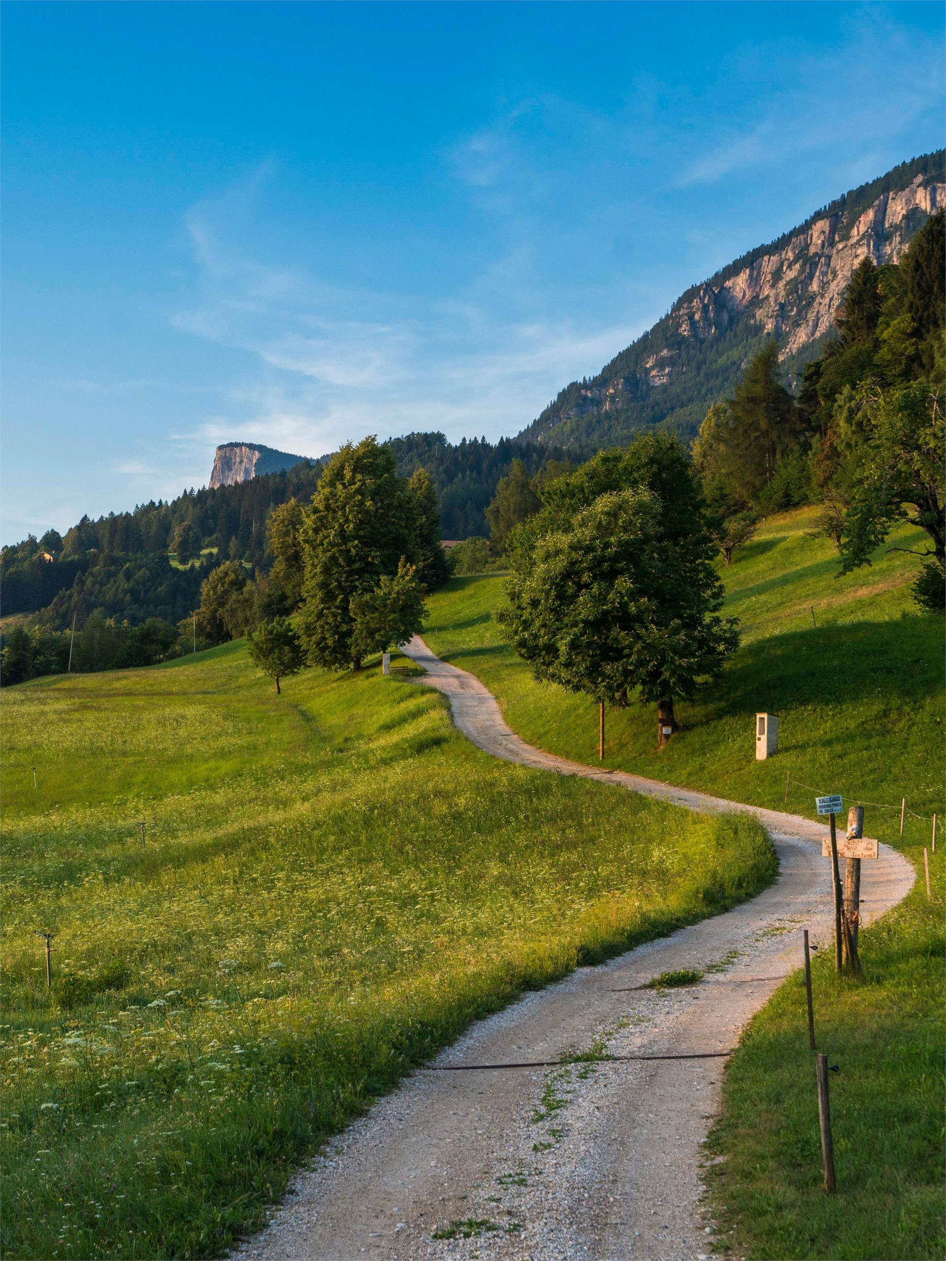 Escursione circolare da Sirmiano di Sotto, Grissiano, Sirmiano di Sopra, Sirmiano di Sotto Nalles 3 suedtirol.info