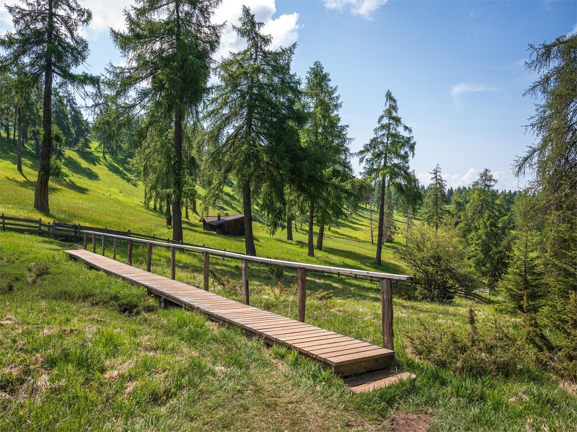 Rundweg: Jenesien - Gschnofer Stall - Urlärche Jenesien 5 suedtirol.info