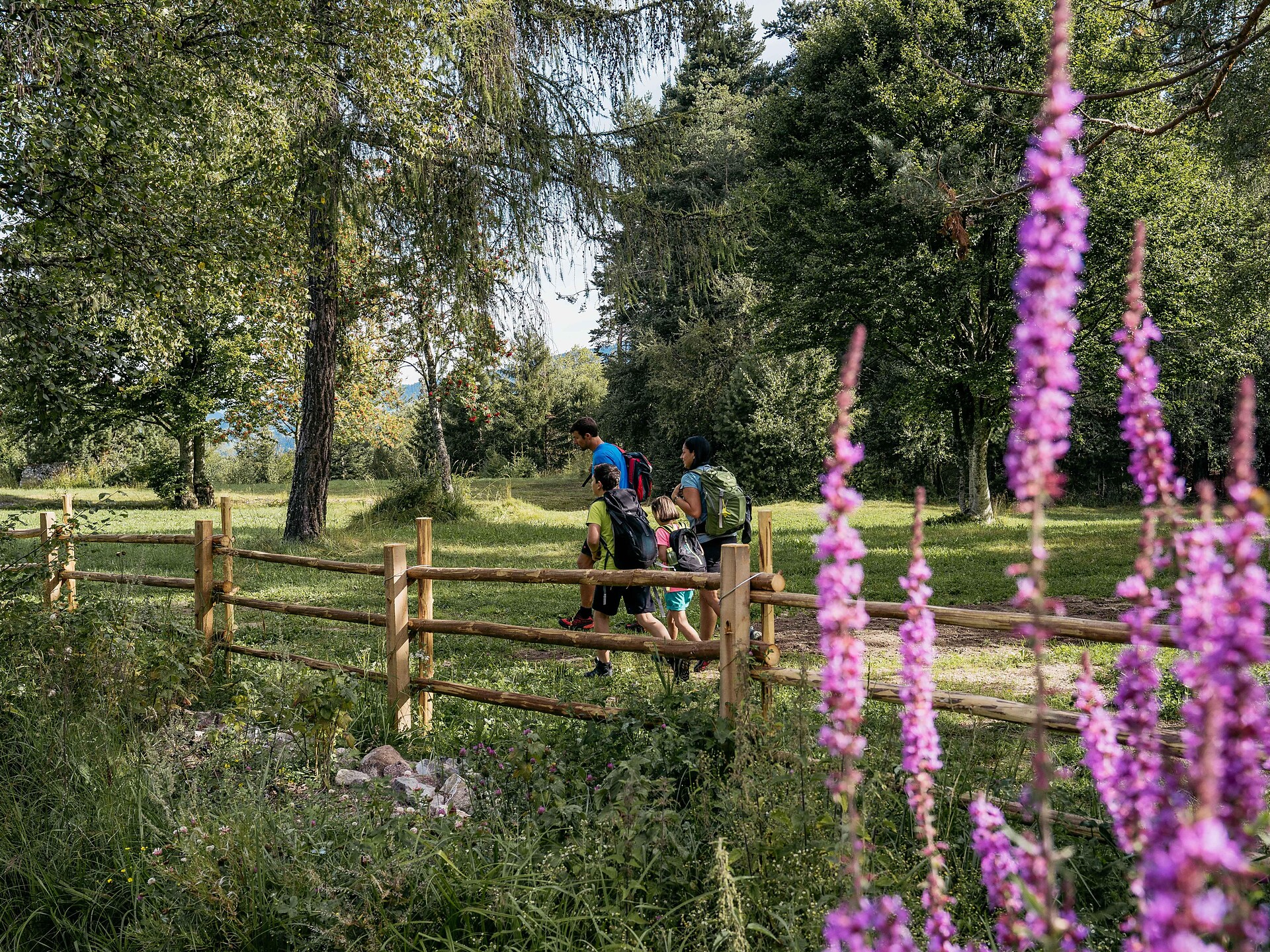 hiking in the nature parc Monte Corno