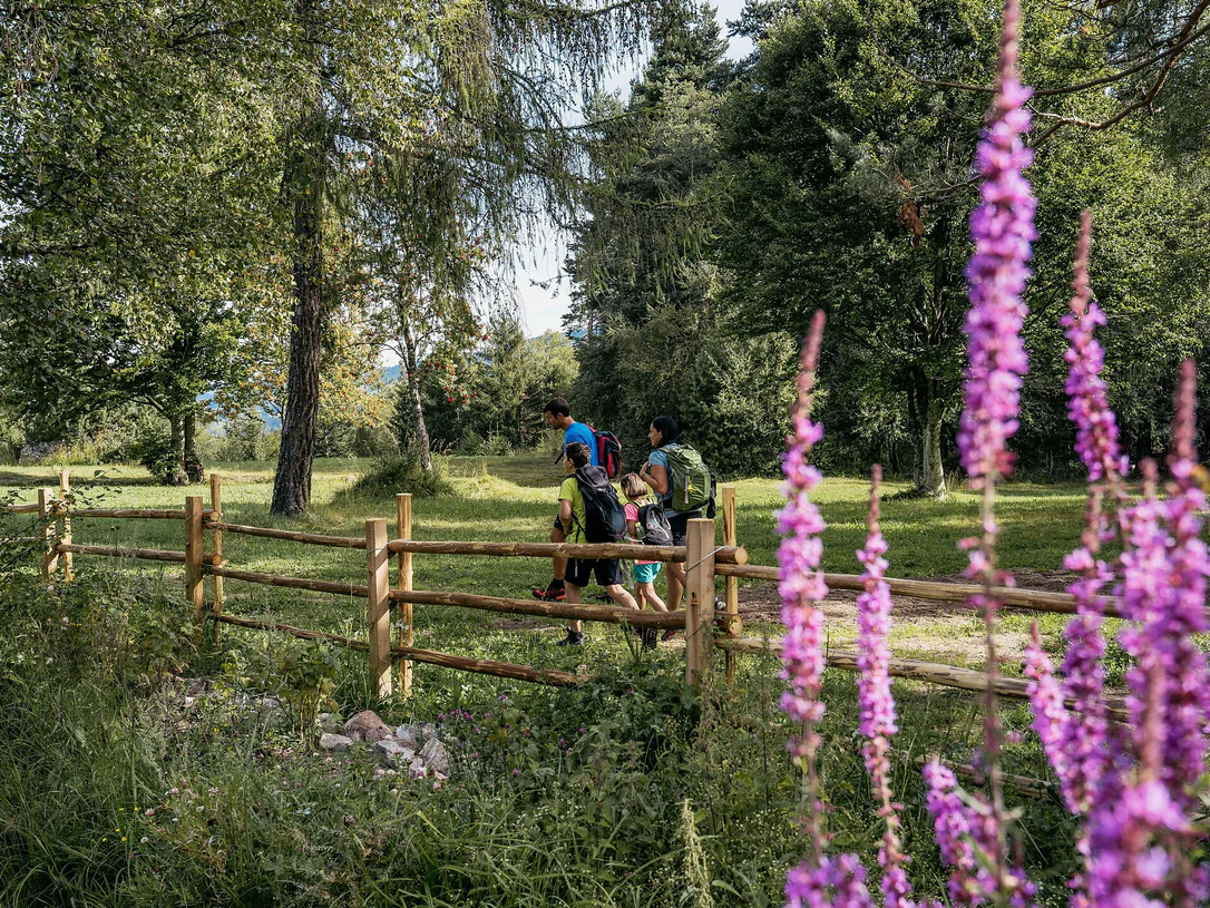 Circular Hike in the Trudner Horn Nature Park