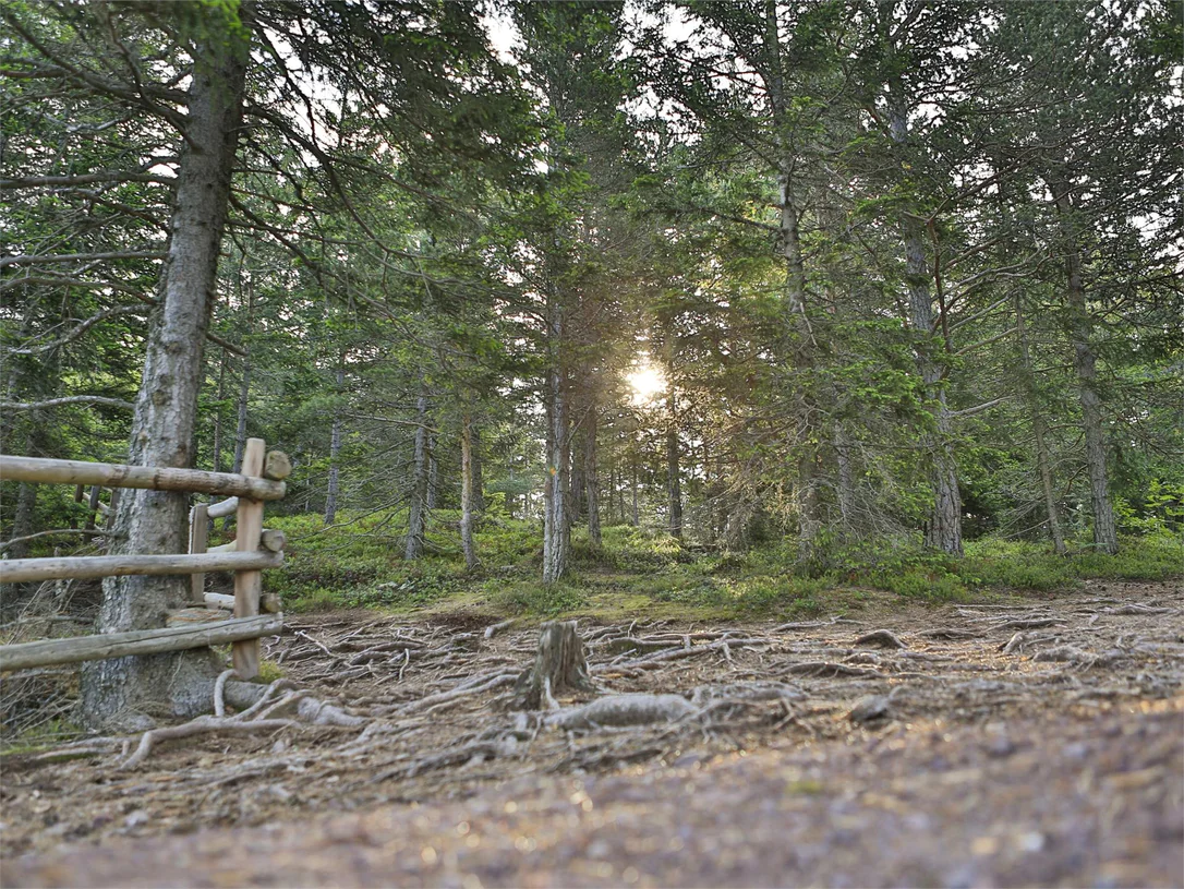 Runde Hinterkofl - Knottnkino