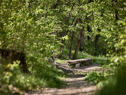 Psalmenweg (Psalm Trail) – Kranebitt Circular Hiking Tour  1 suedtirol.info