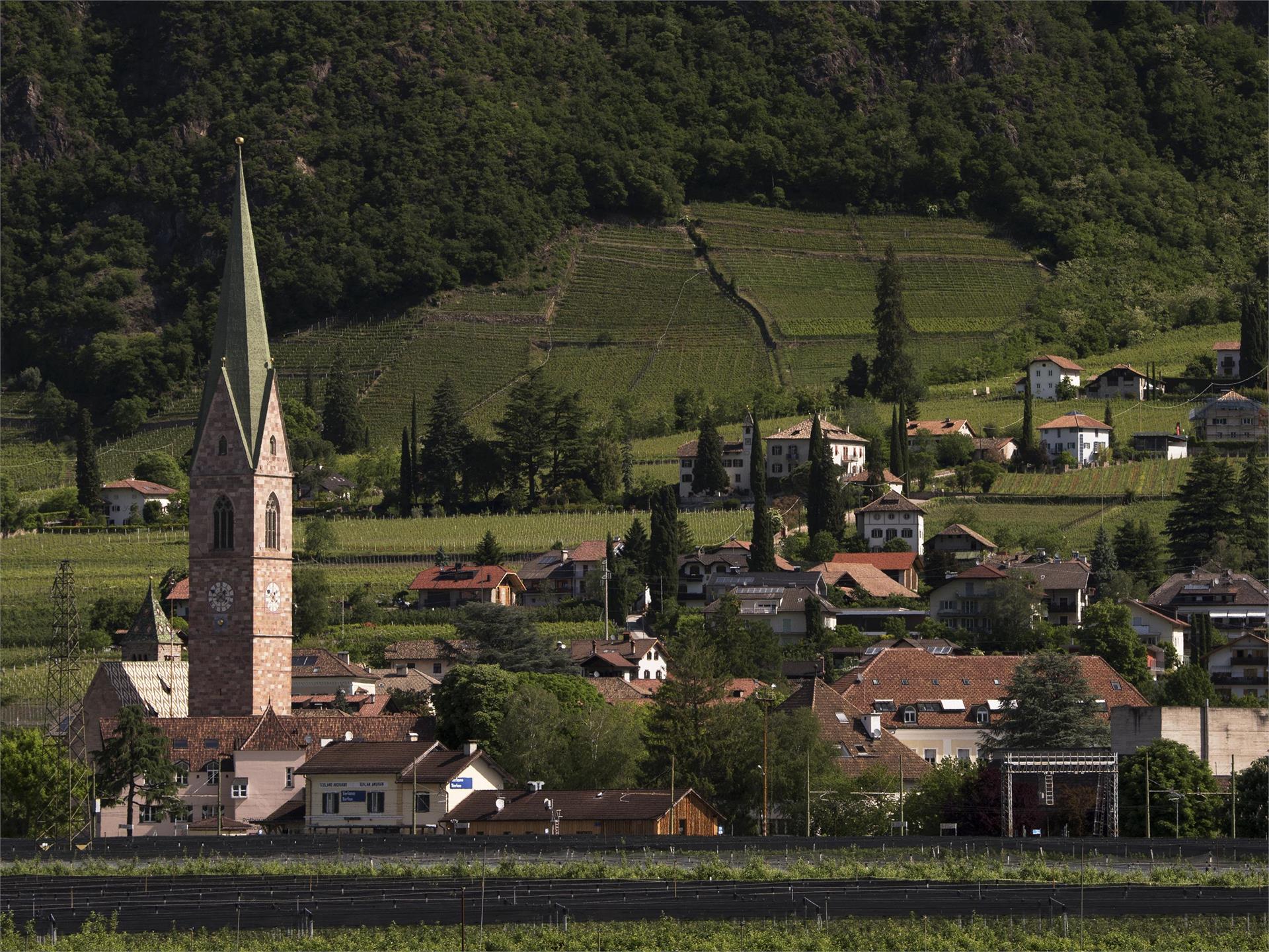 Bicycle ride through asparagus fields and blossoming apple orchards Terlan/Terlano 2 suedtirol.info