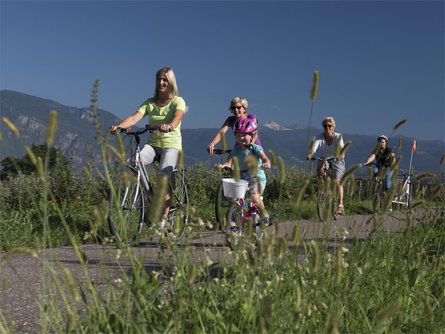 Giro in bicicletta attraverso campi di asparagi e i meleti  in fiore Terlano 3 suedtirol.info