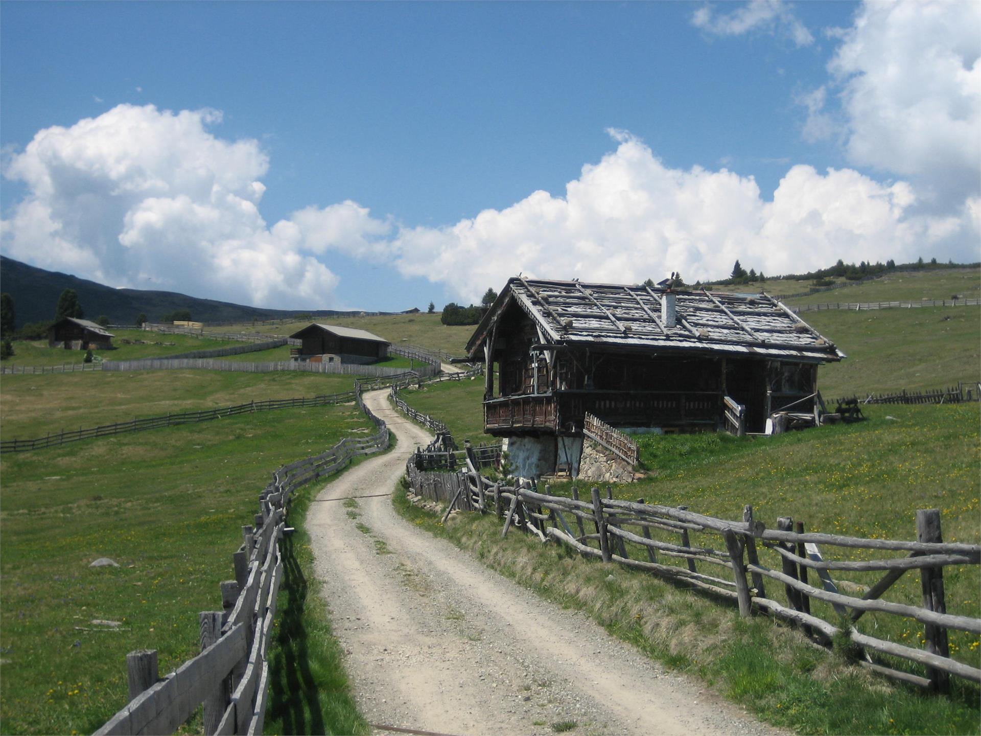 "Rittner Horn" Barbian/Barbiano 1 suedtirol.info