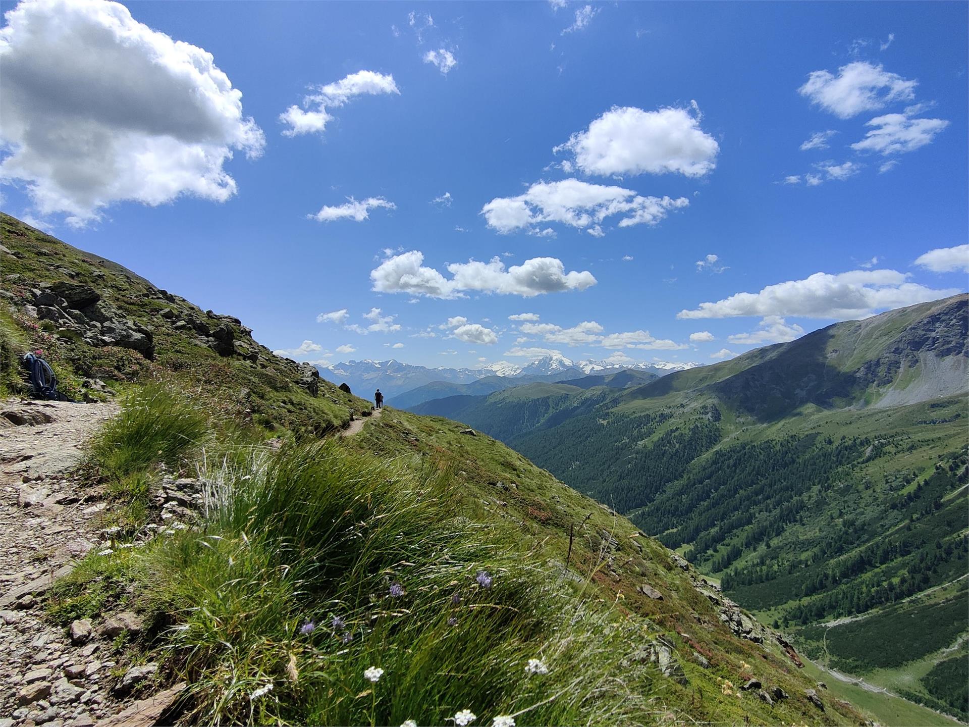 Rundwanderung Watles Panoramatour Mals 4 suedtirol.info