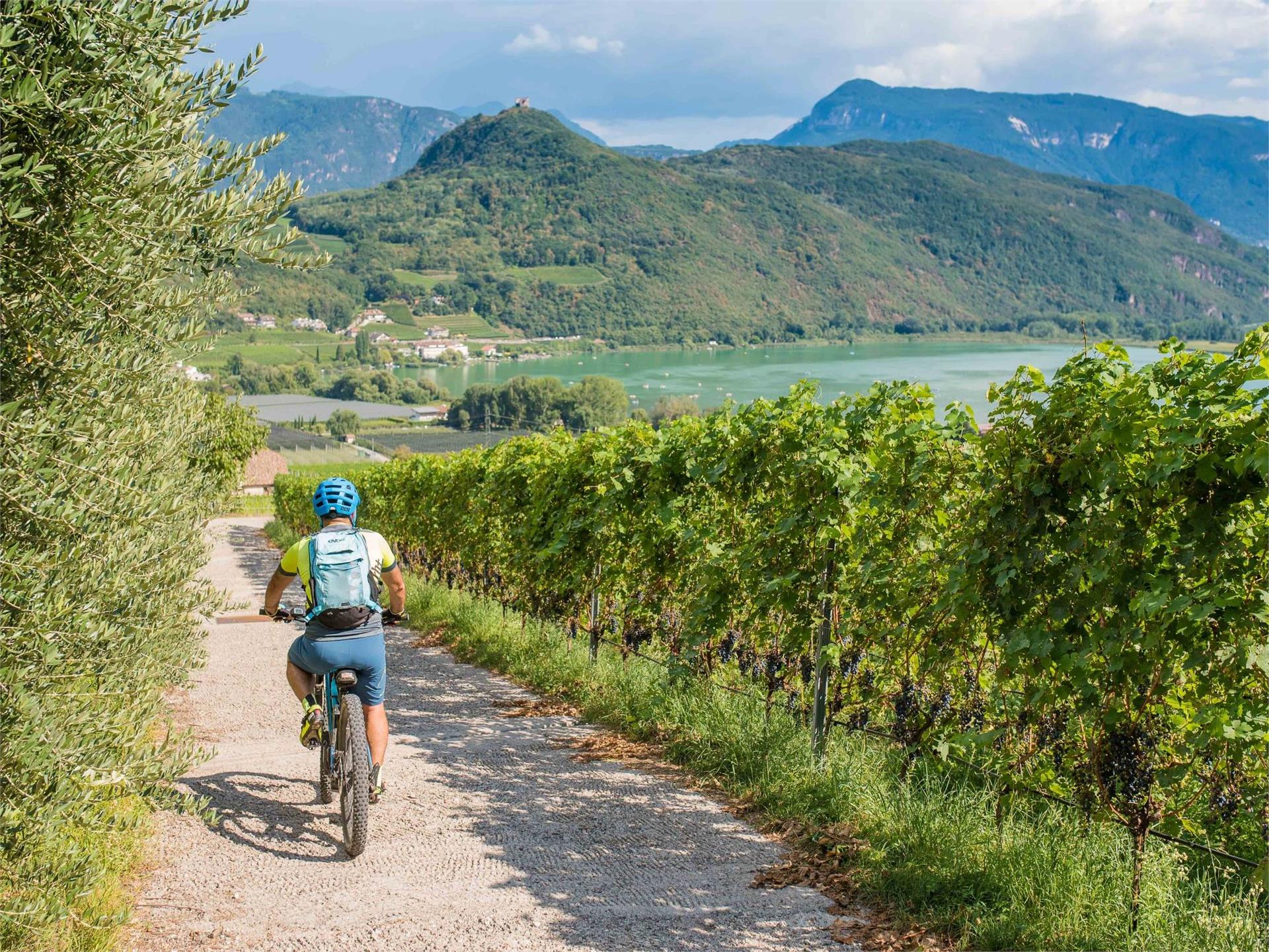 Around the Mitterberg Tramin an der Weinstraße/Termeno sulla Strada del Vino 2 suedtirol.info