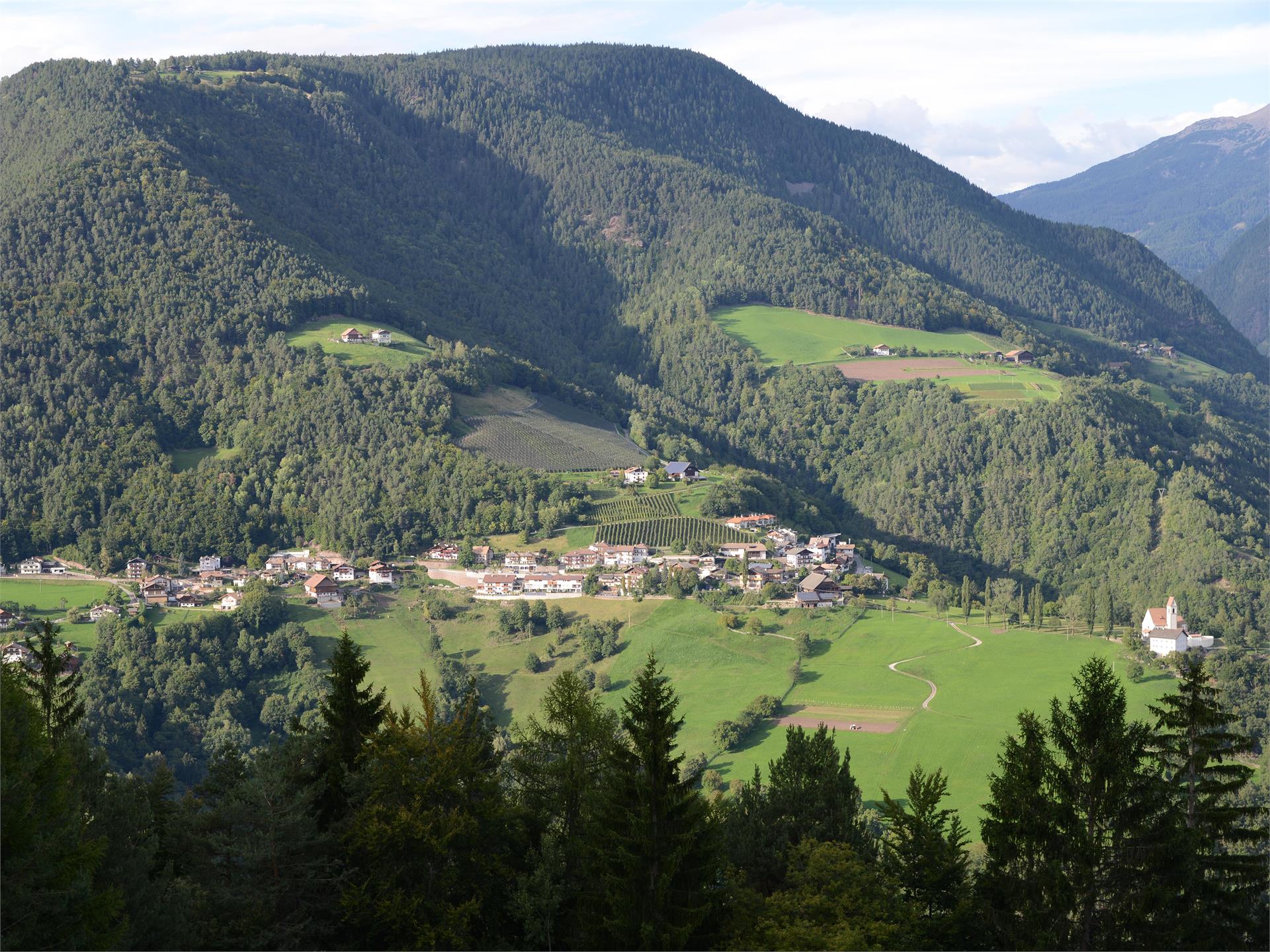 Round Trail Avigna/Afing - Dosso Nero/Schwarzegg Sarntal/Sarentino 1 suedtirol.info