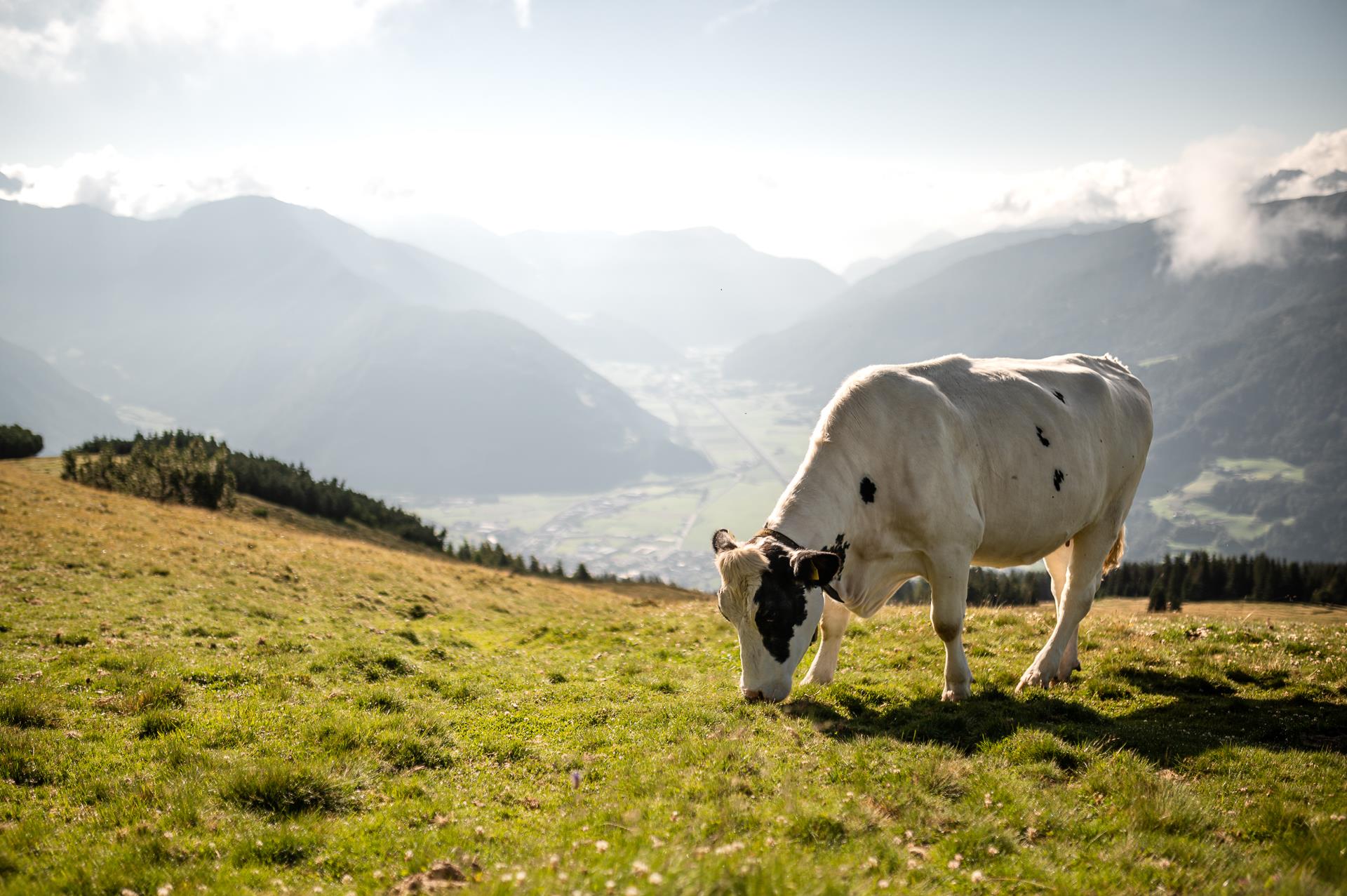 Ridnaun High Trail Sterzing/Vipiteno 1 suedtirol.info