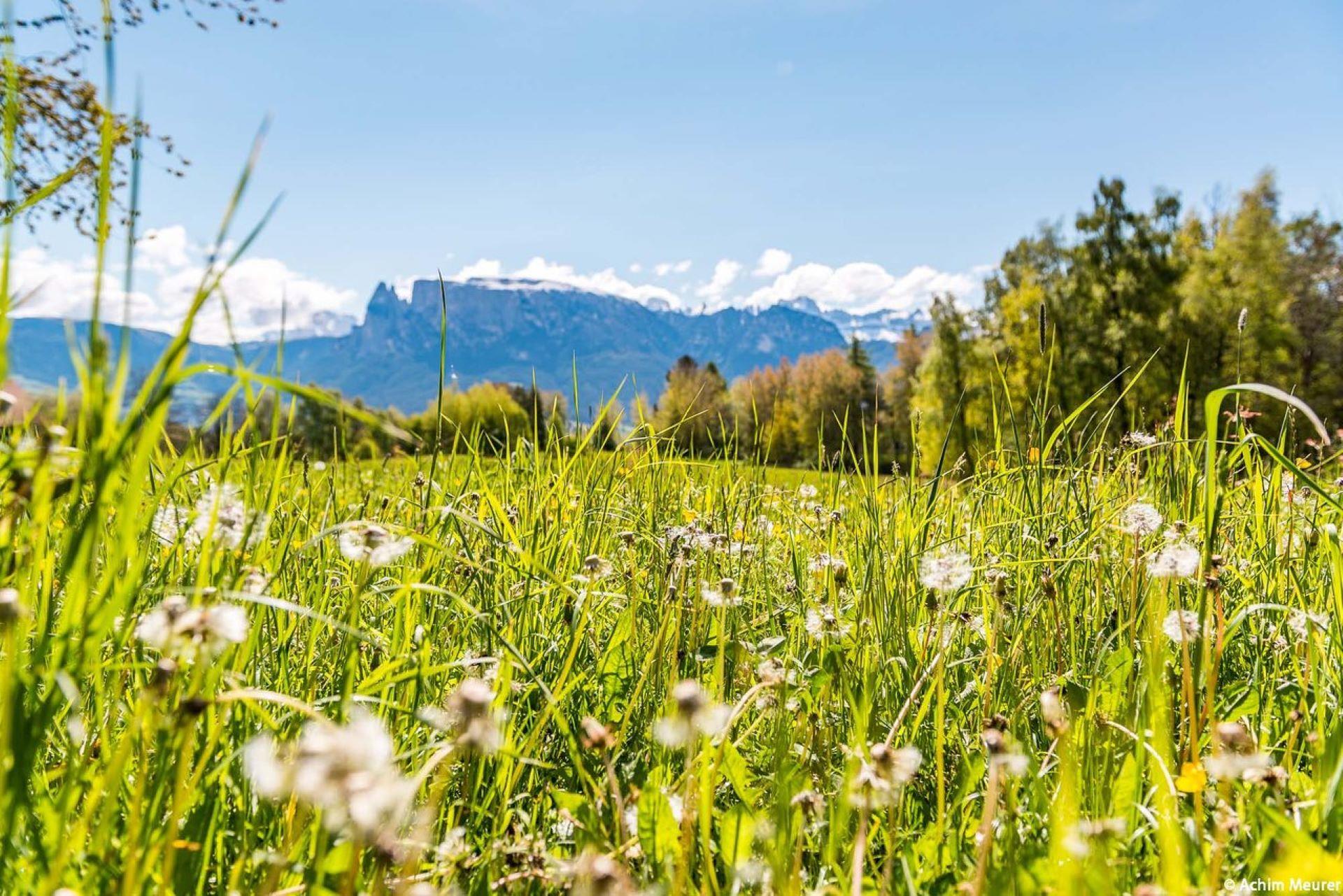 Renon: Sulle orme di Sigmund Freud Renon 1 suedtirol.info