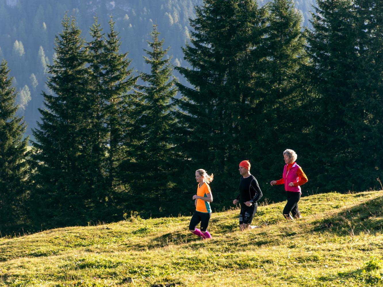 Sentiero circolare Ortisei – S. Cristina Ortisei 1 suedtirol.info