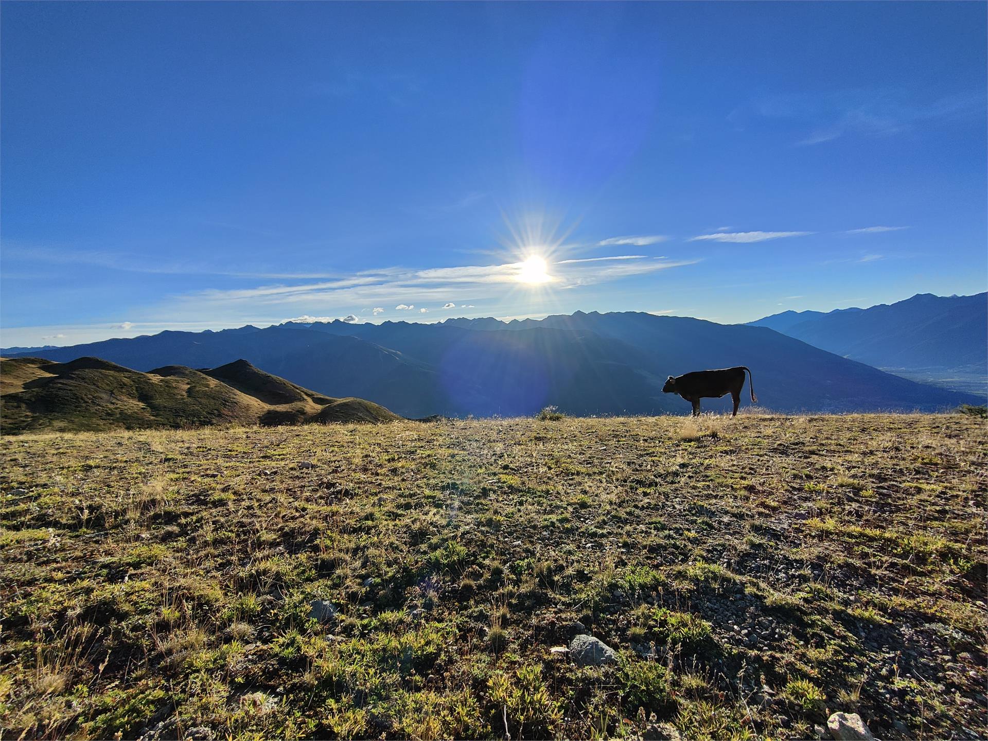 Tour alla cima Watles Malles 3 suedtirol.info