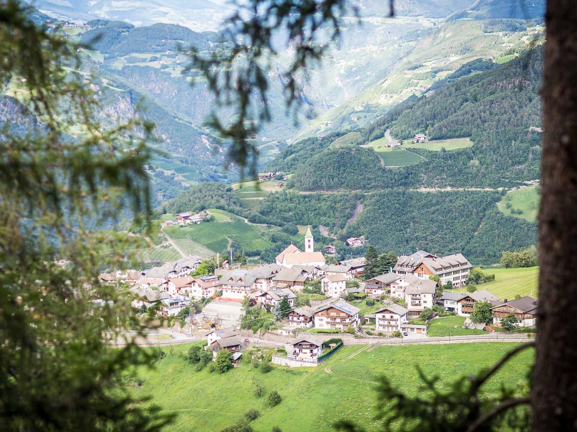 View of Steinegg / Collepietra