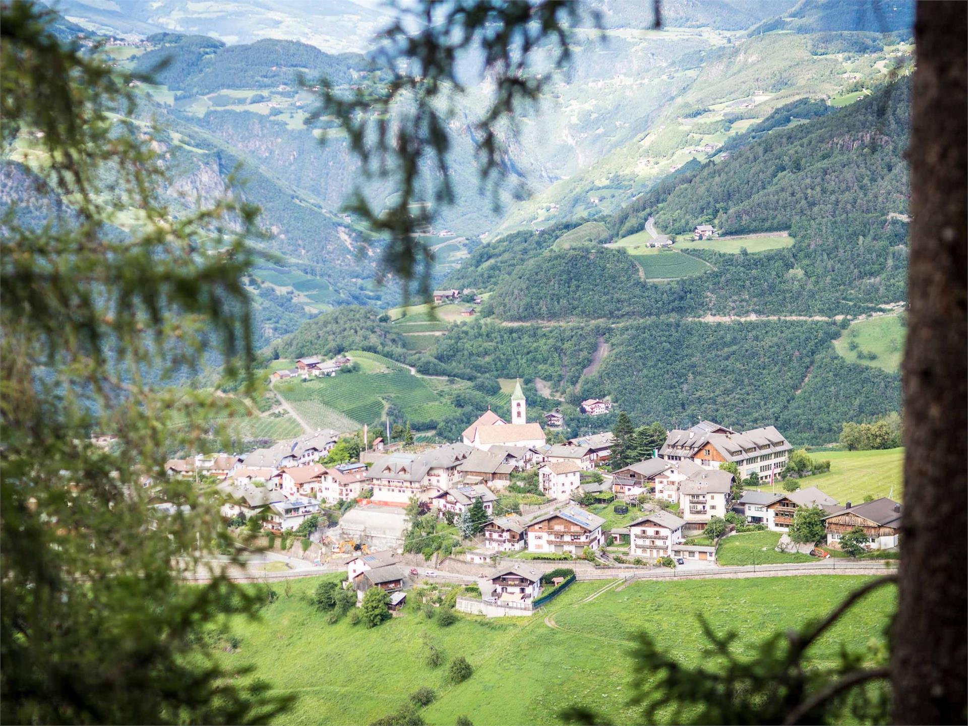 Giro del Wiedenhof Cornedo all'Isarco 1 suedtirol.info