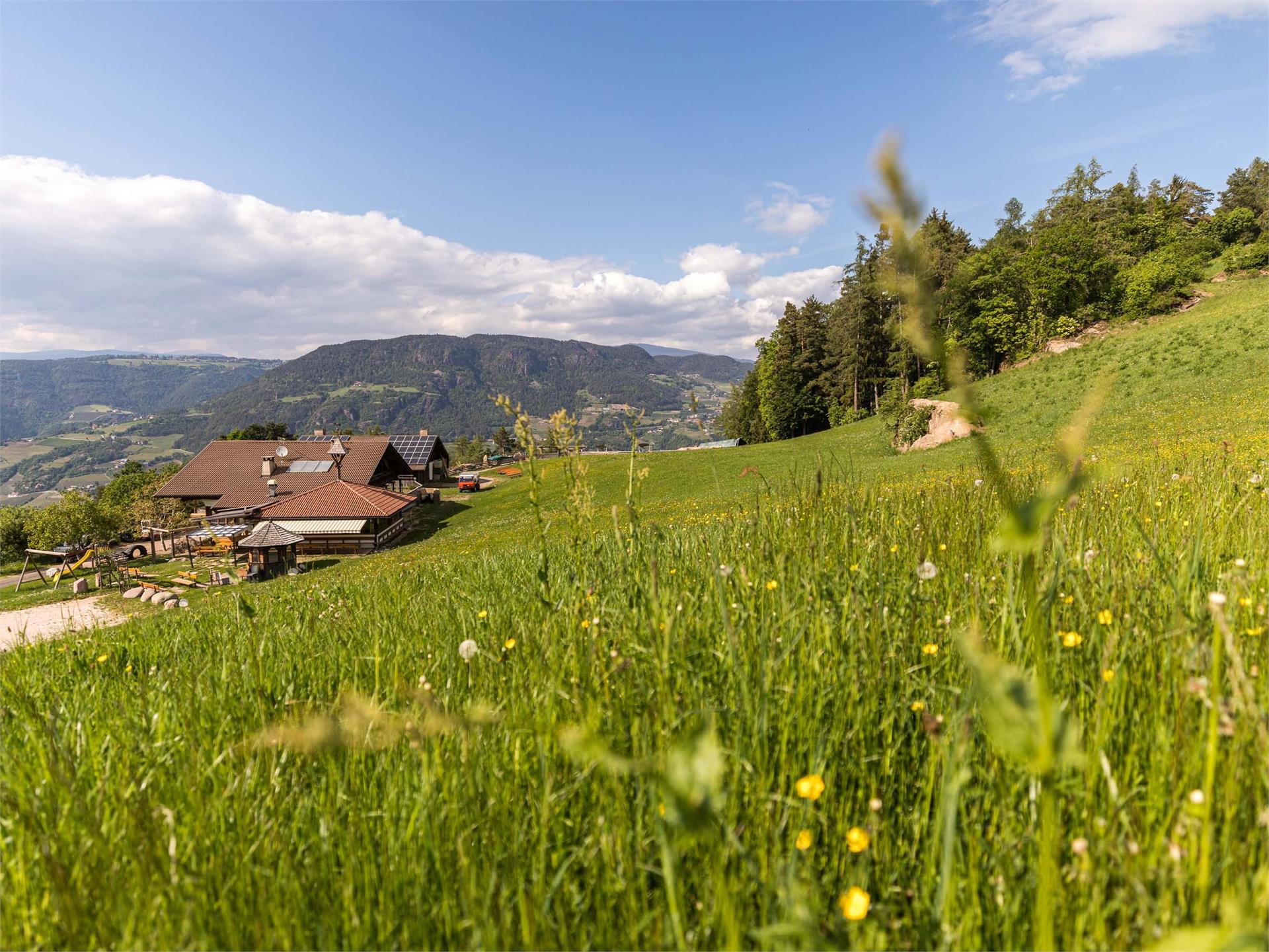 Giro del Wiedenhof Cornedo all'Isarco 3 suedtirol.info