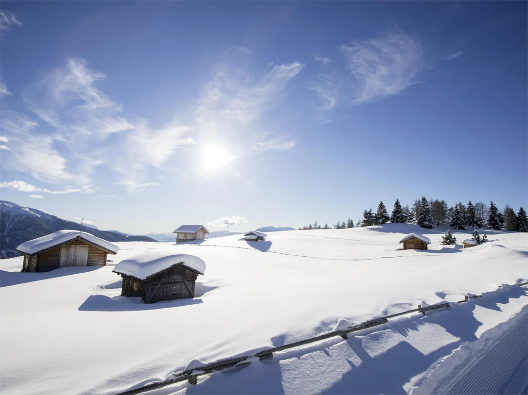 Alpe di Rodengo e Luson