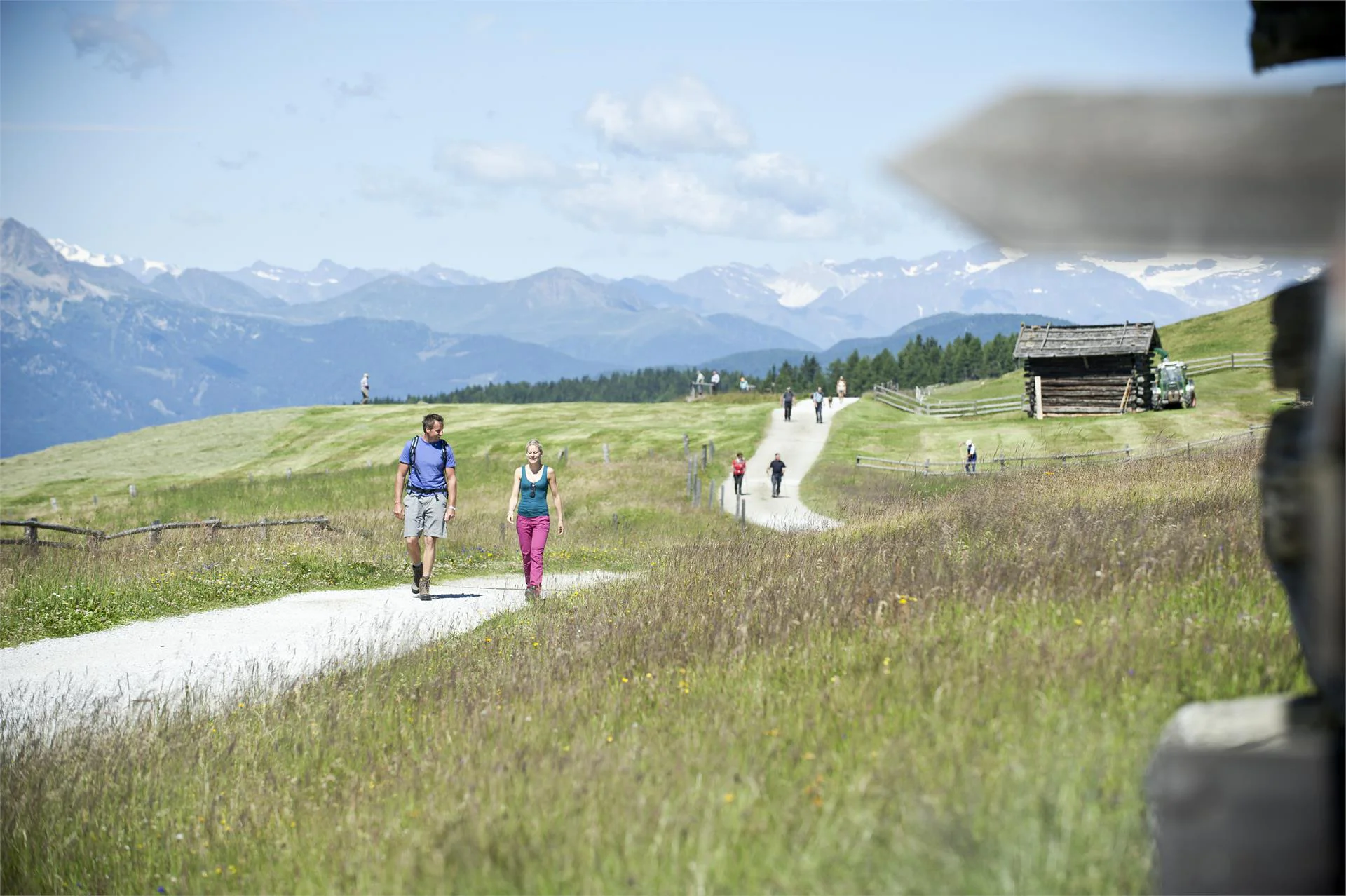 Alpe di Rodengo e Luson Rodengo 2 suedtirol.info