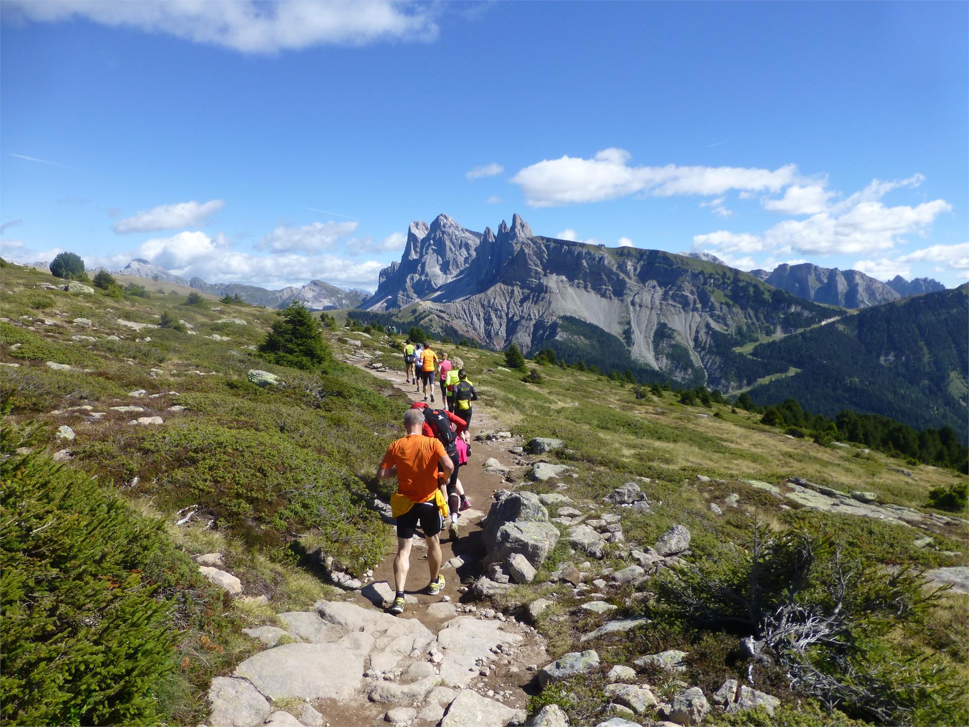 Alpe Resciesa Ortisei 1 suedtirol.info