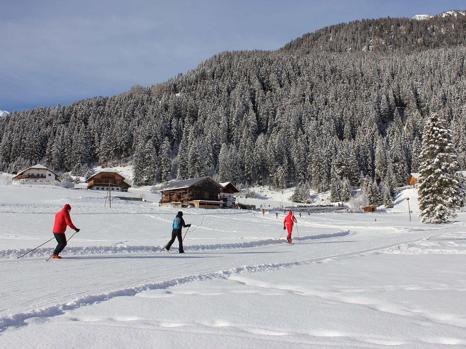 Section cross country track Val Casies Valley: circuit Mooswald trail S. Maddalena 2.5 km -  - #3 - suedtirol.info