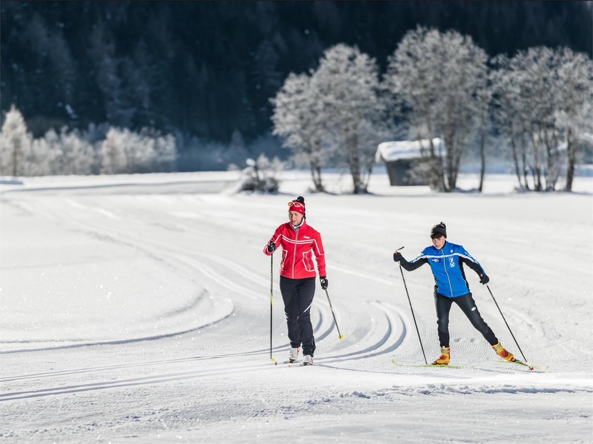 Rundloipe Kematen Pfitsch 5 suedtirol.info