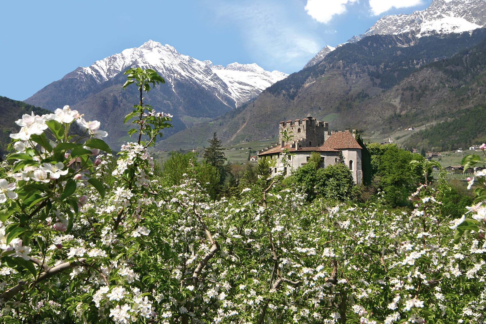 Rundwanderung Forst Algund 1 suedtirol.info