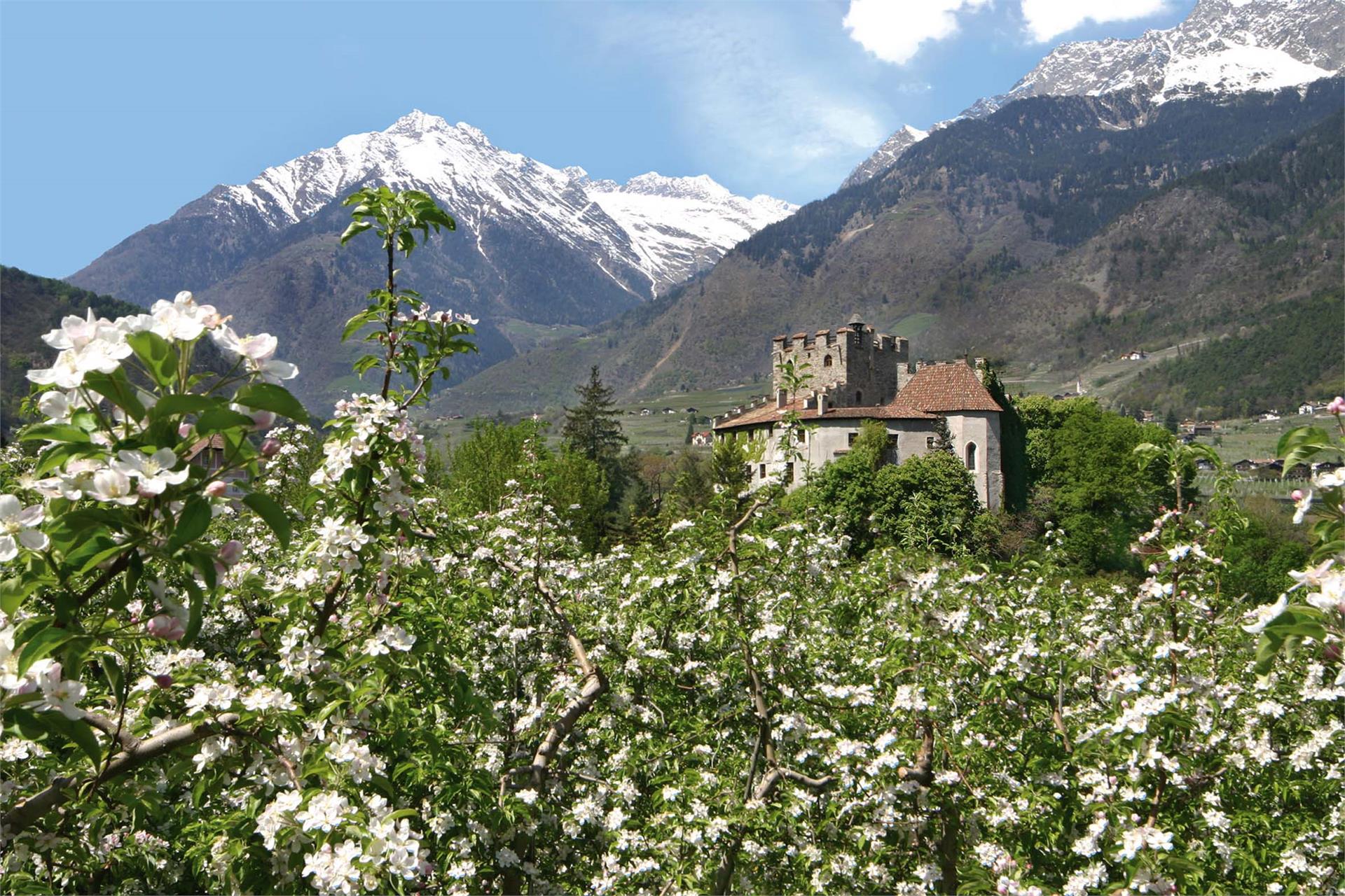 Escursione alla Forst Lagundo 1 suedtirol.info