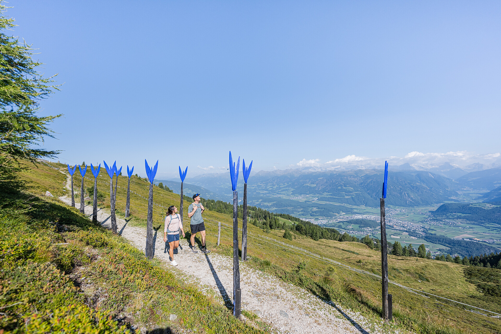Sentiero Via Artis - Regione dolomitica Plan de Corones - #5 - suedtirol.info
