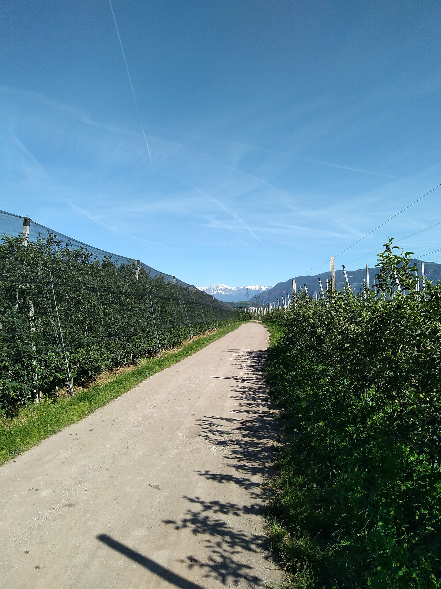 Spazierweg