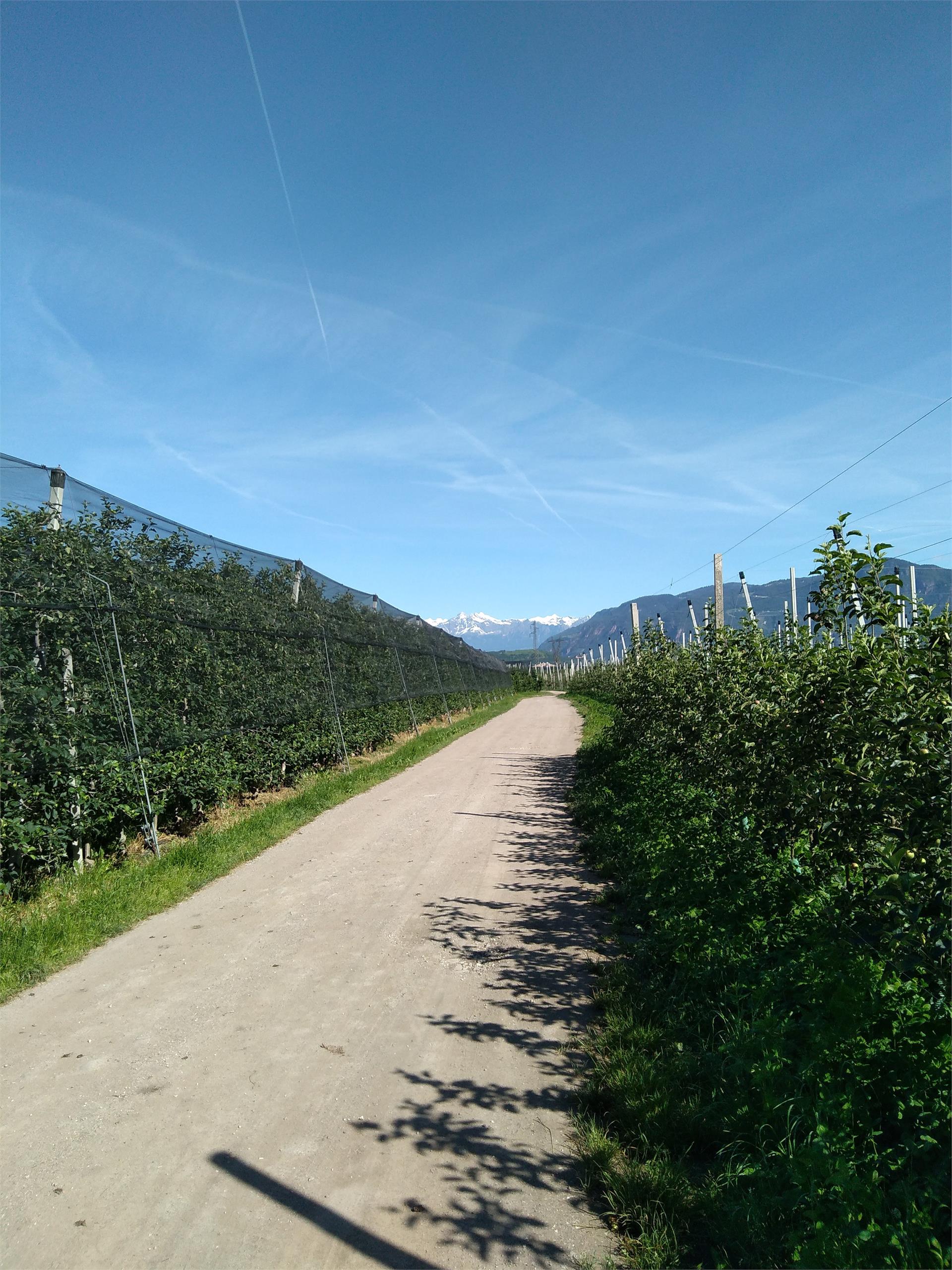 Circular walk around Laives/Leifers Laives/Leifers 2 suedtirol.info