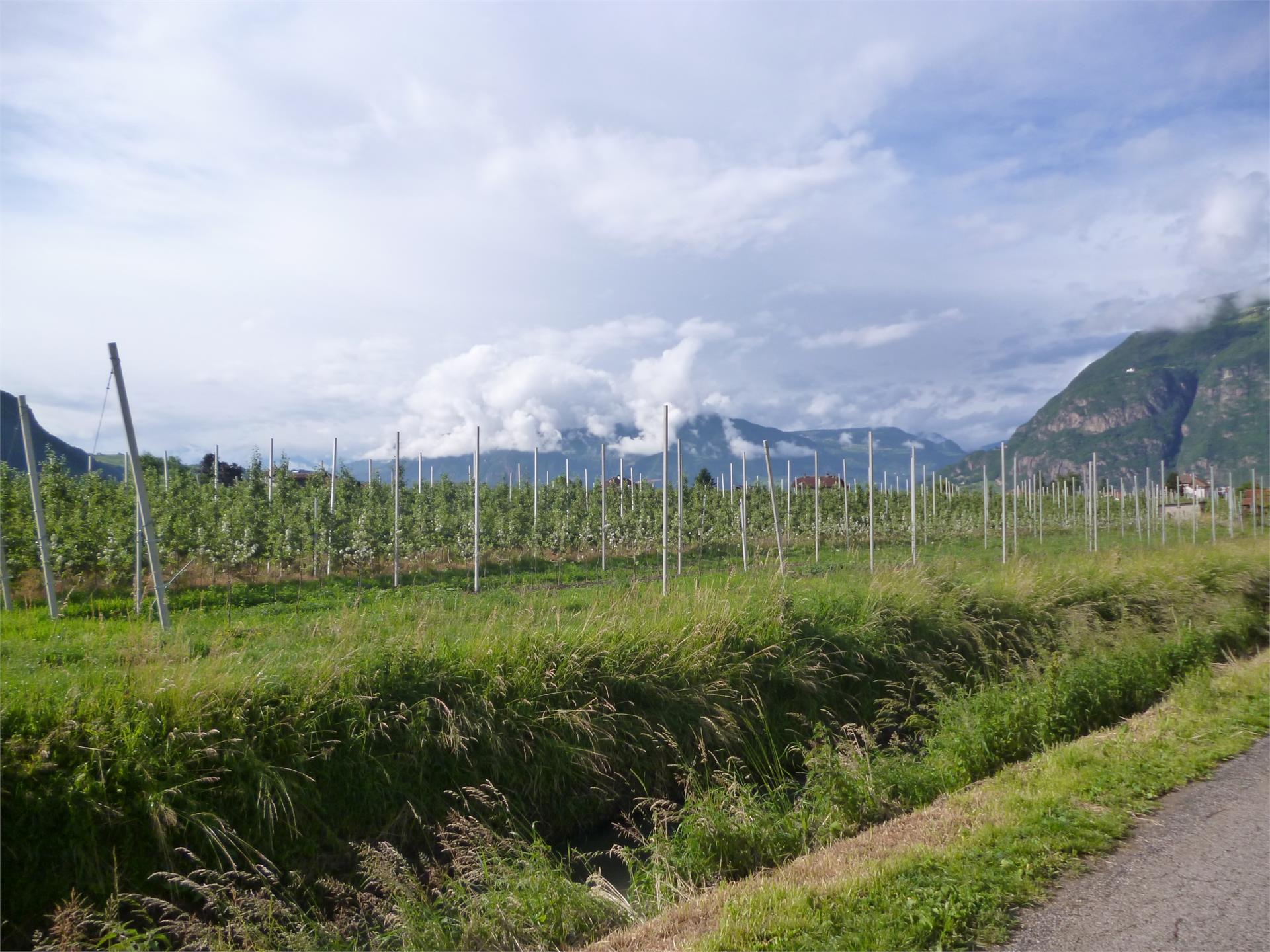 Circular walk around Laives/Leifers Laives/Leifers 1 suedtirol.info