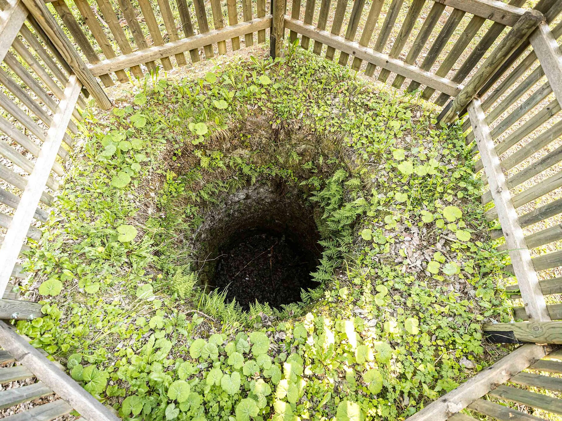 Wolf pit