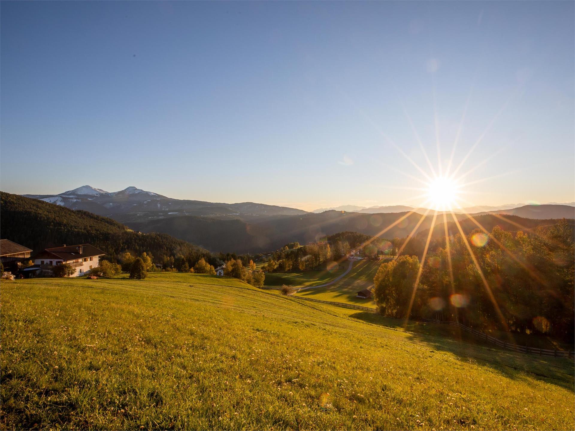 Sentiero del Montalto di Nova (Taltbühl) Cornedo all'Isarco 1 suedtirol.info