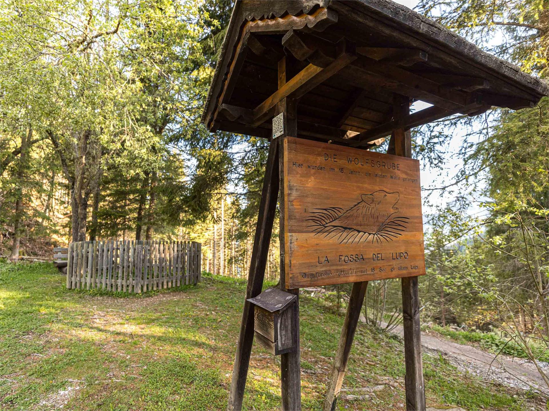 Sentiero del Montalto di Nova (Taltbühl) Cornedo all'Isarco 5 suedtirol.info