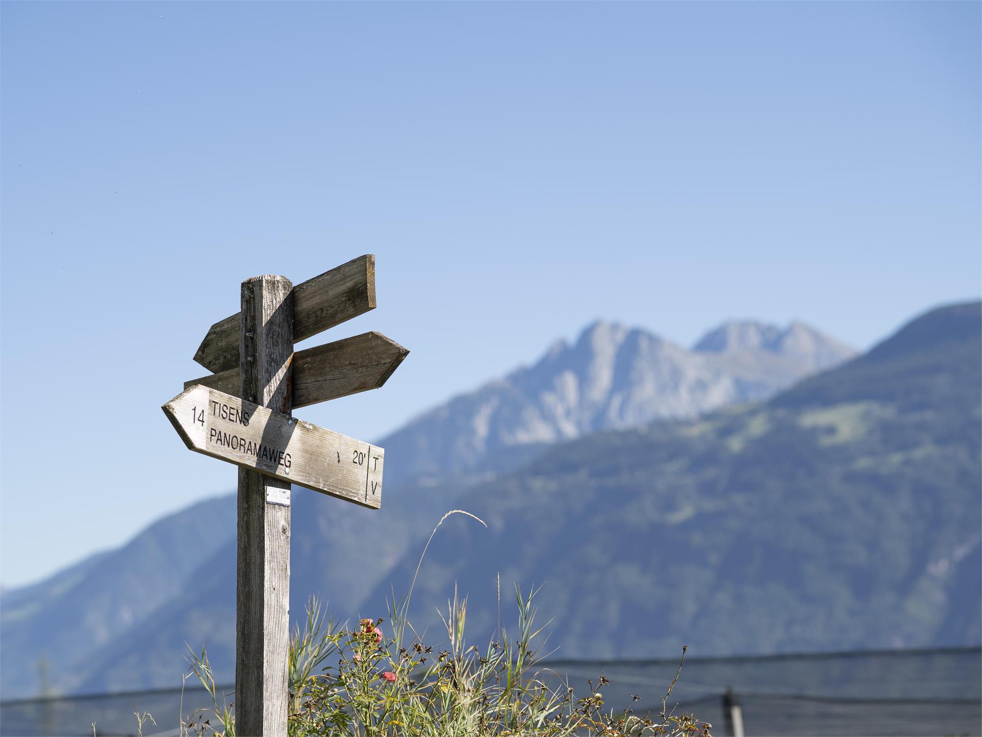 Panoramic Trail Circular Hike Tisens/Tesimo 1 suedtirol.info