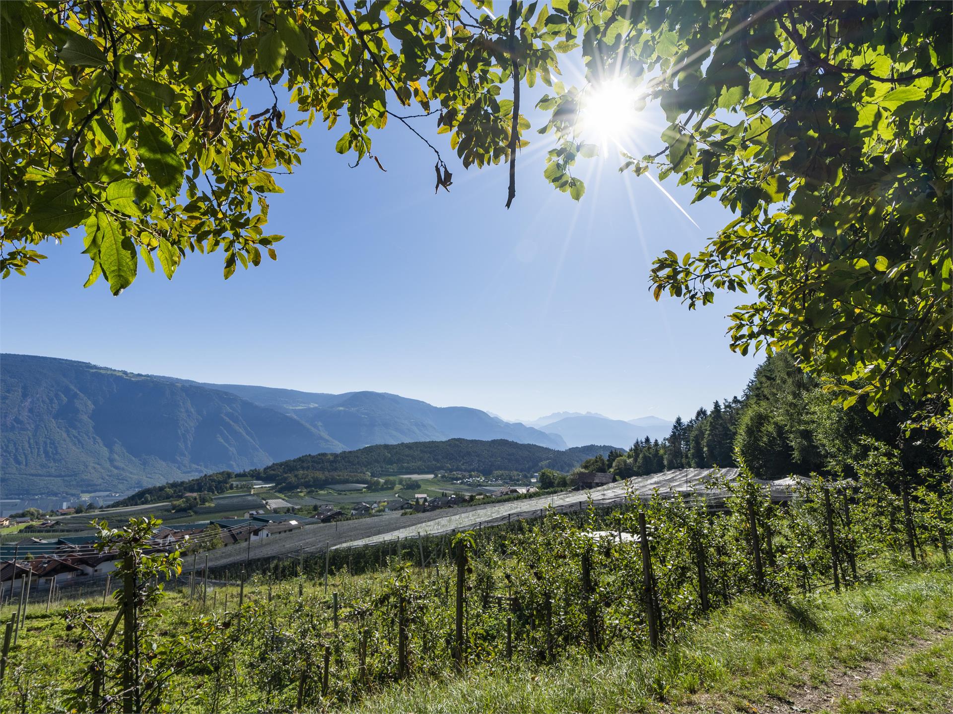 Panoramic Trail Circular Hike Tisens/Tesimo 2 suedtirol.info