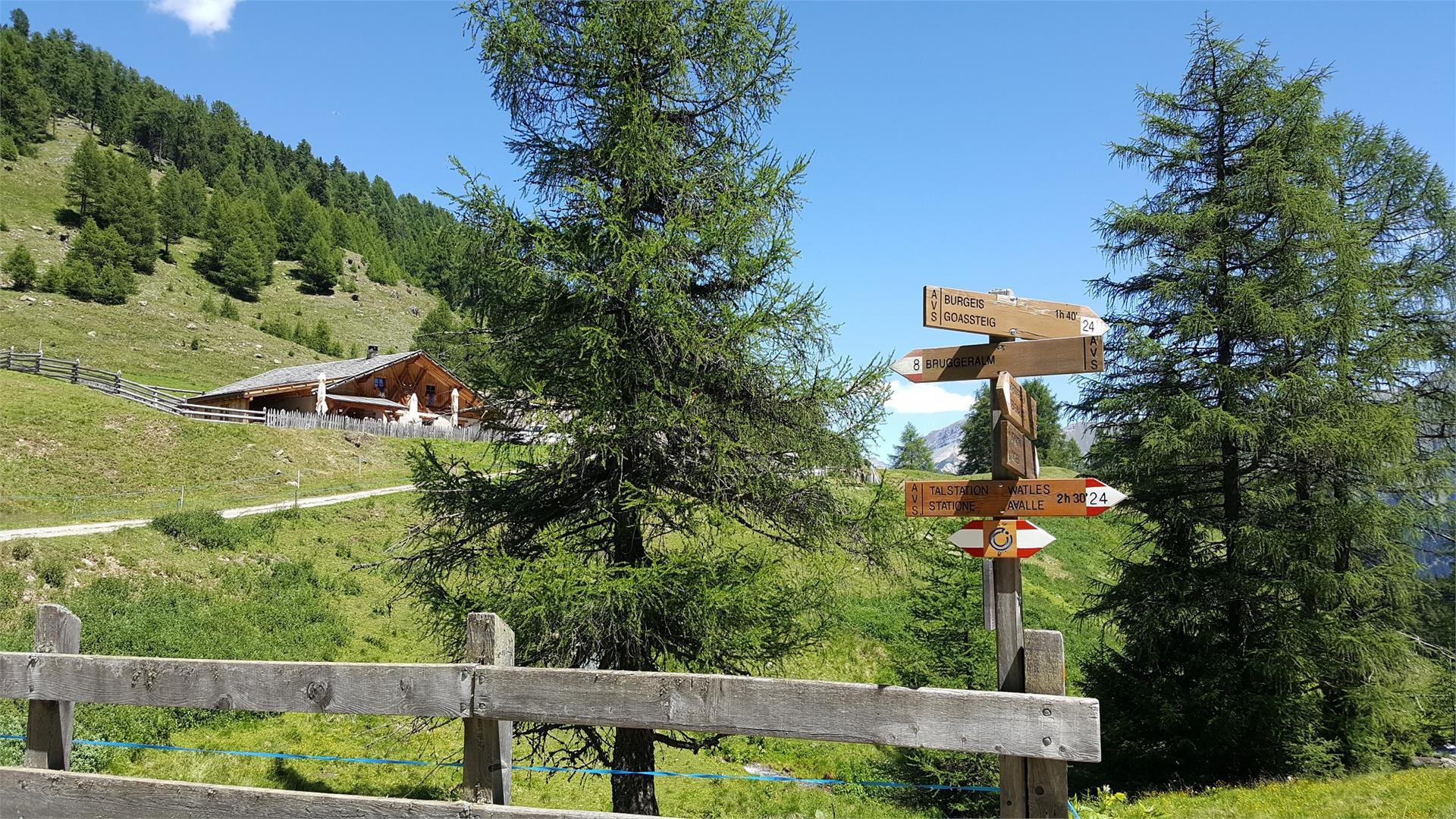 Rundwanderung zur Bruggeralm  1 suedtirol.info