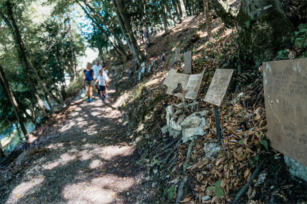 Circular hiking trail from Neumarkt/Egna via Laag/Laghetti to Buchholz/Pochi and Salurn/Salorno Neumarkt/Egna 7 suedtirol.info
