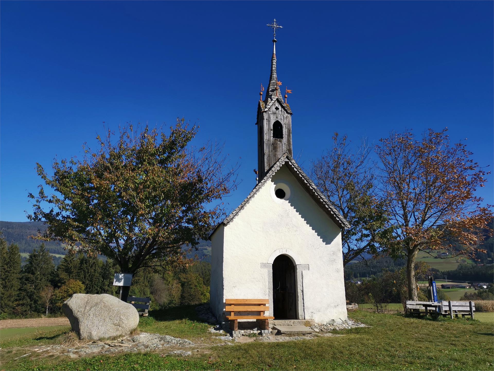 Circular Trail in Reischach Bruneck/Brunico 2 suedtirol.info
