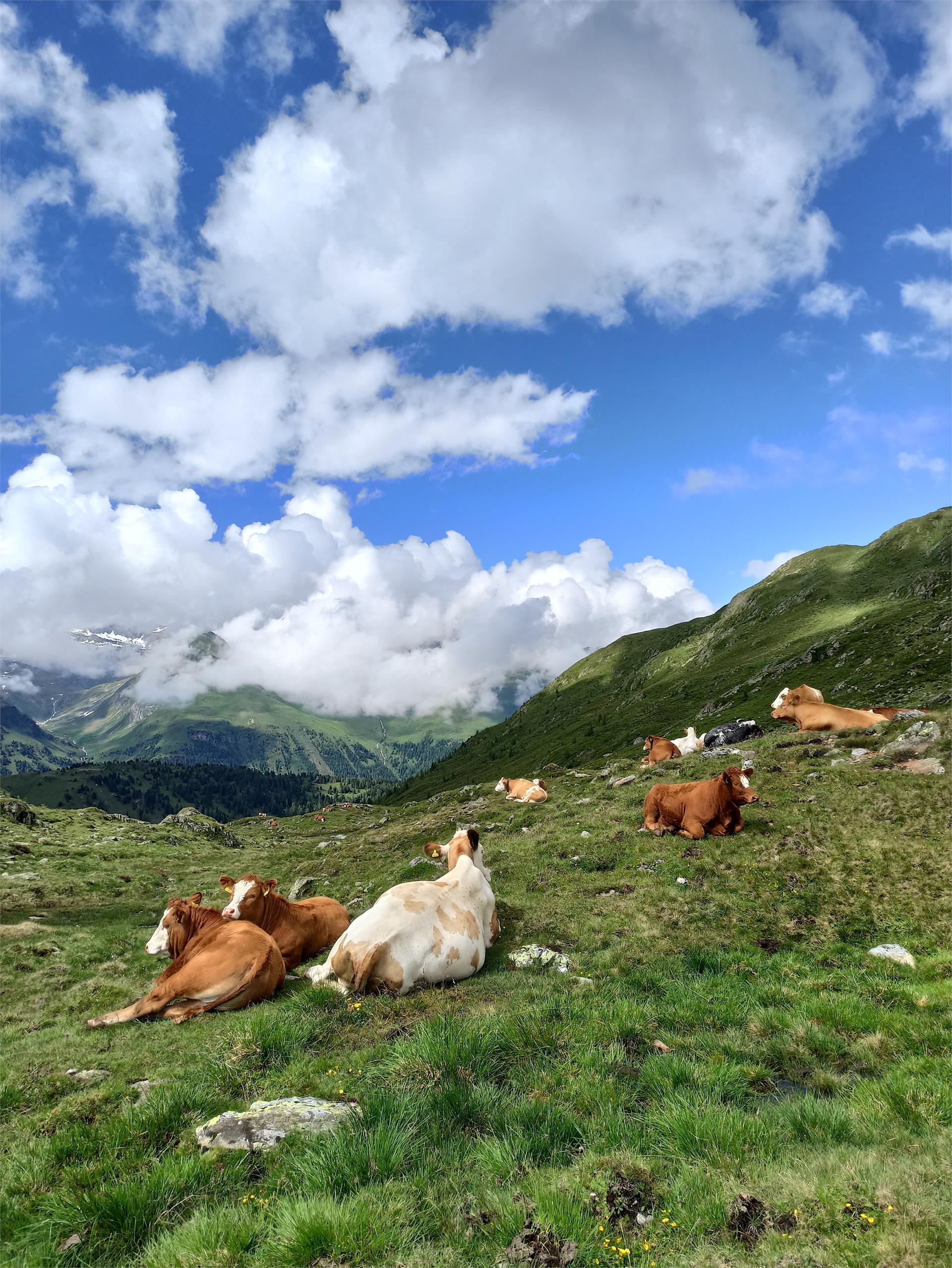 Sentiero circolare lungo i confini in Val Casies Valle di Casies 5 suedtirol.info
