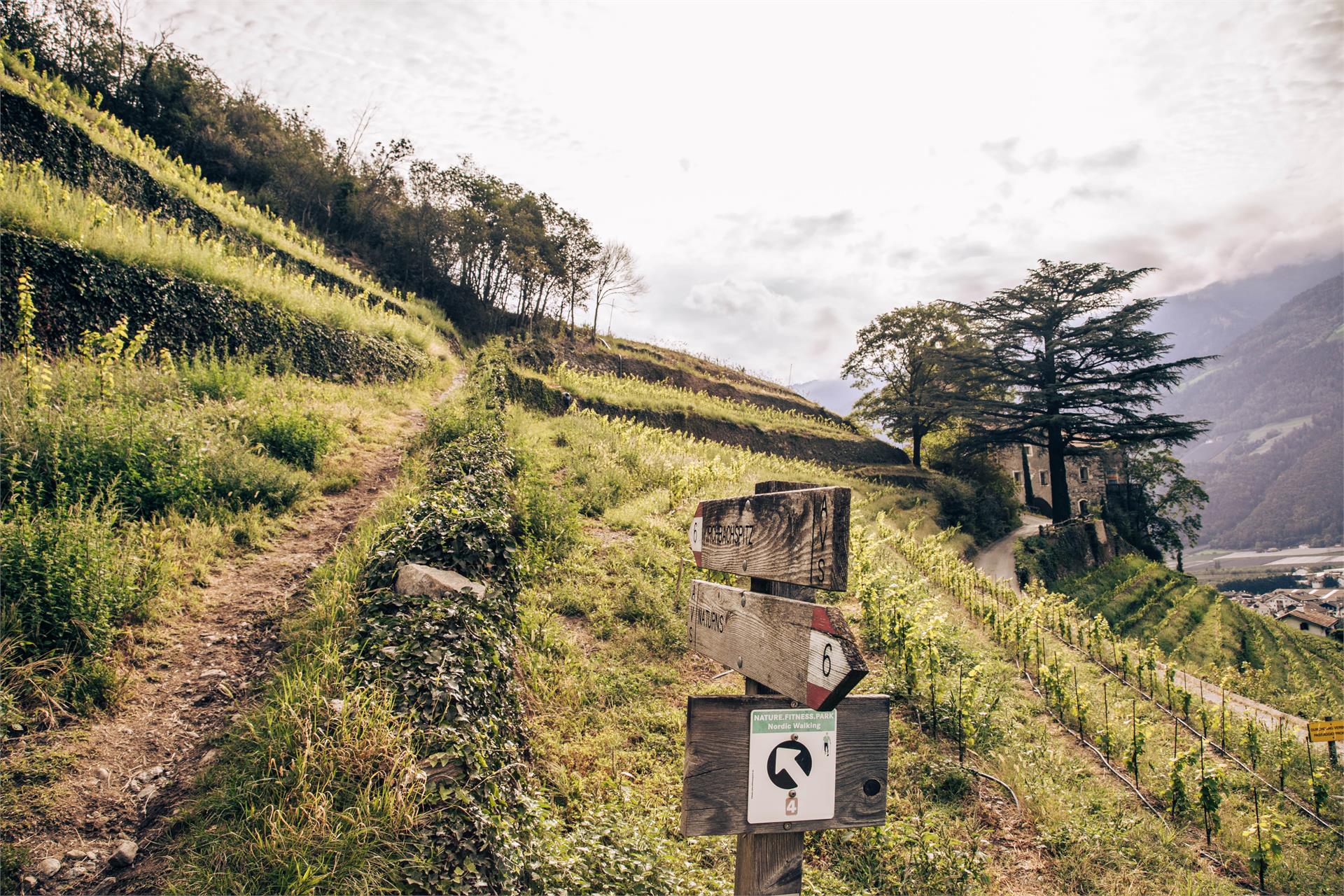 Rundwanderung Sonnenberg Naturns 2 suedtirol.info